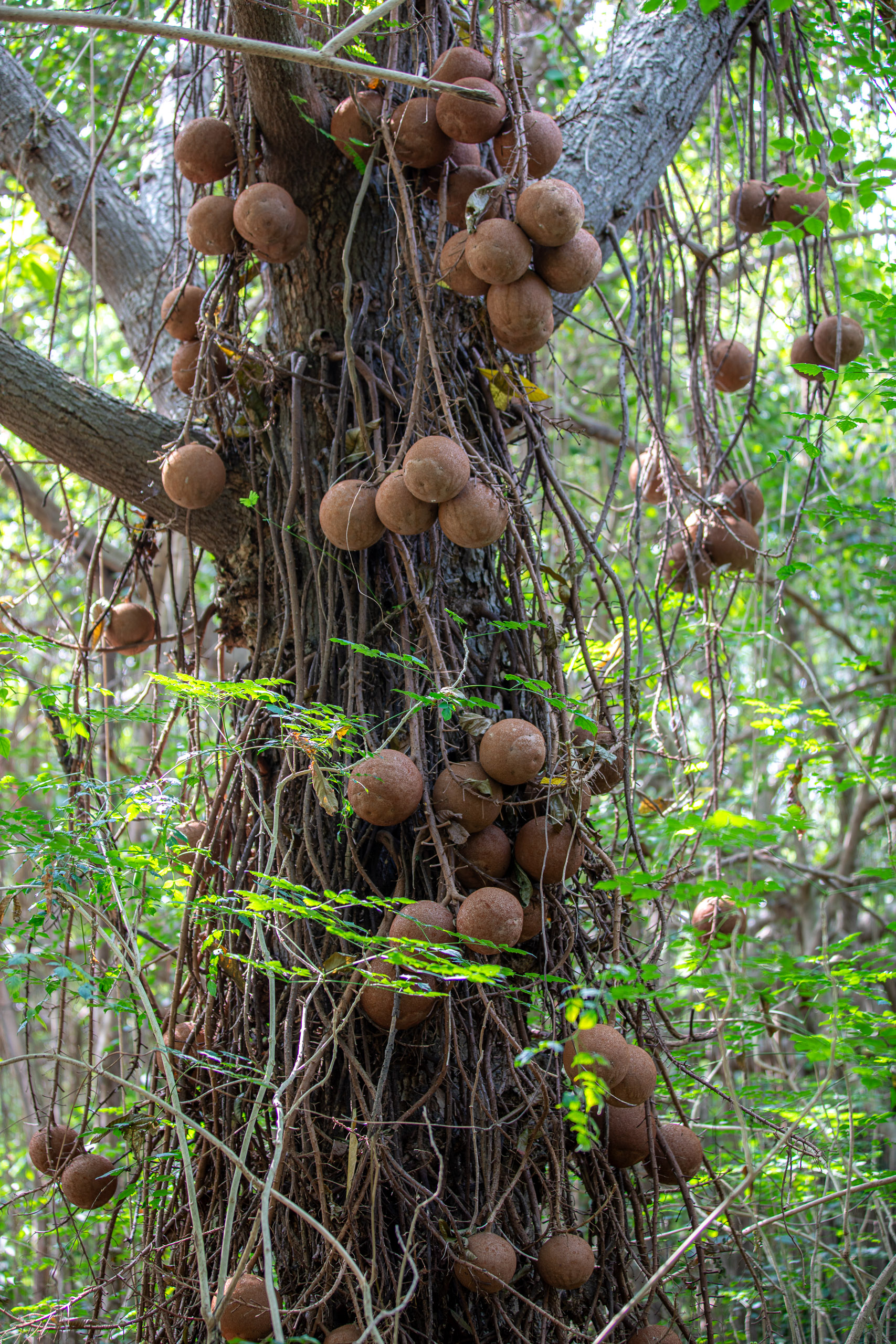 20240124104141 RD4 1633