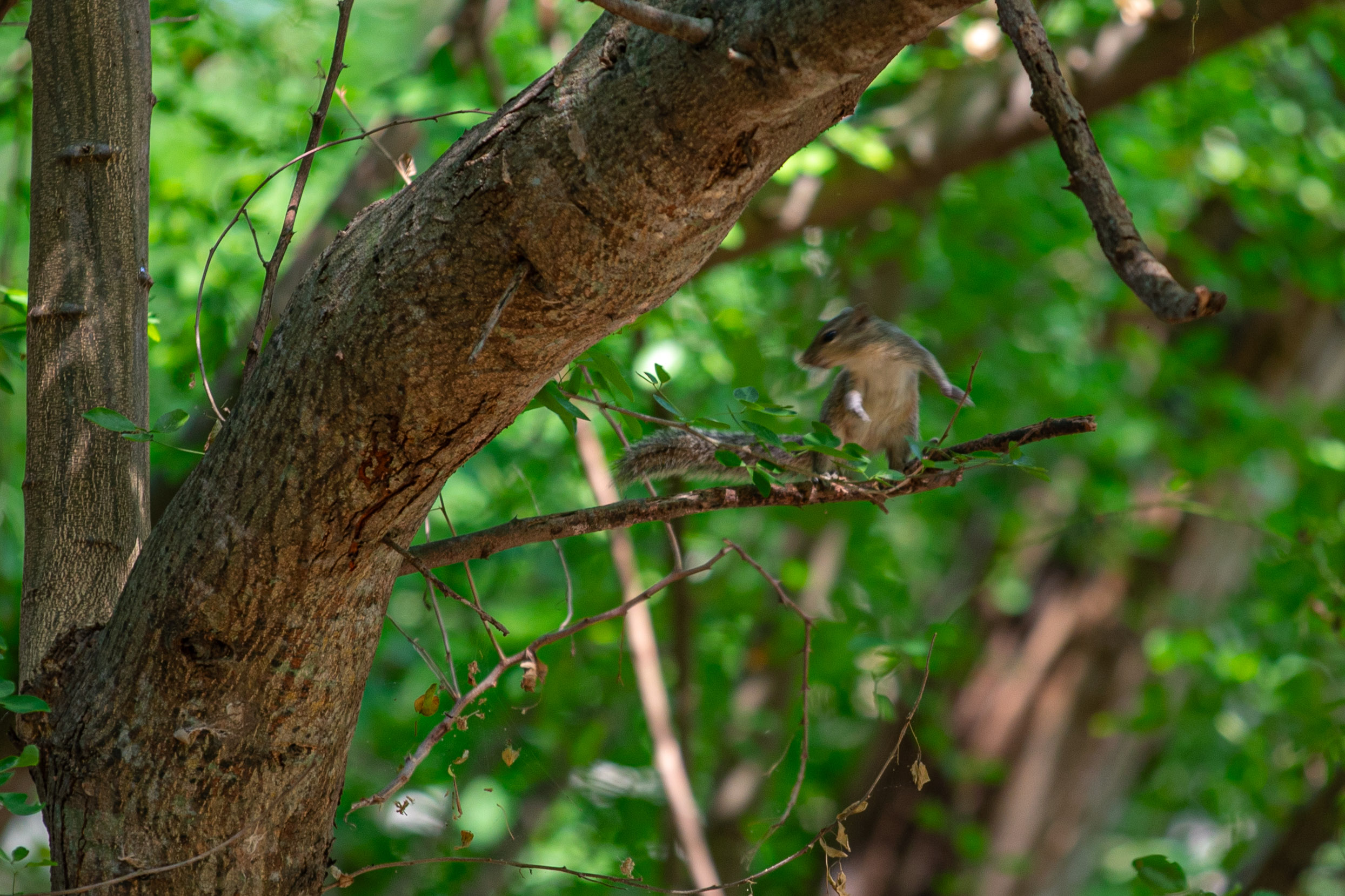 20240124104227 RD4 1636