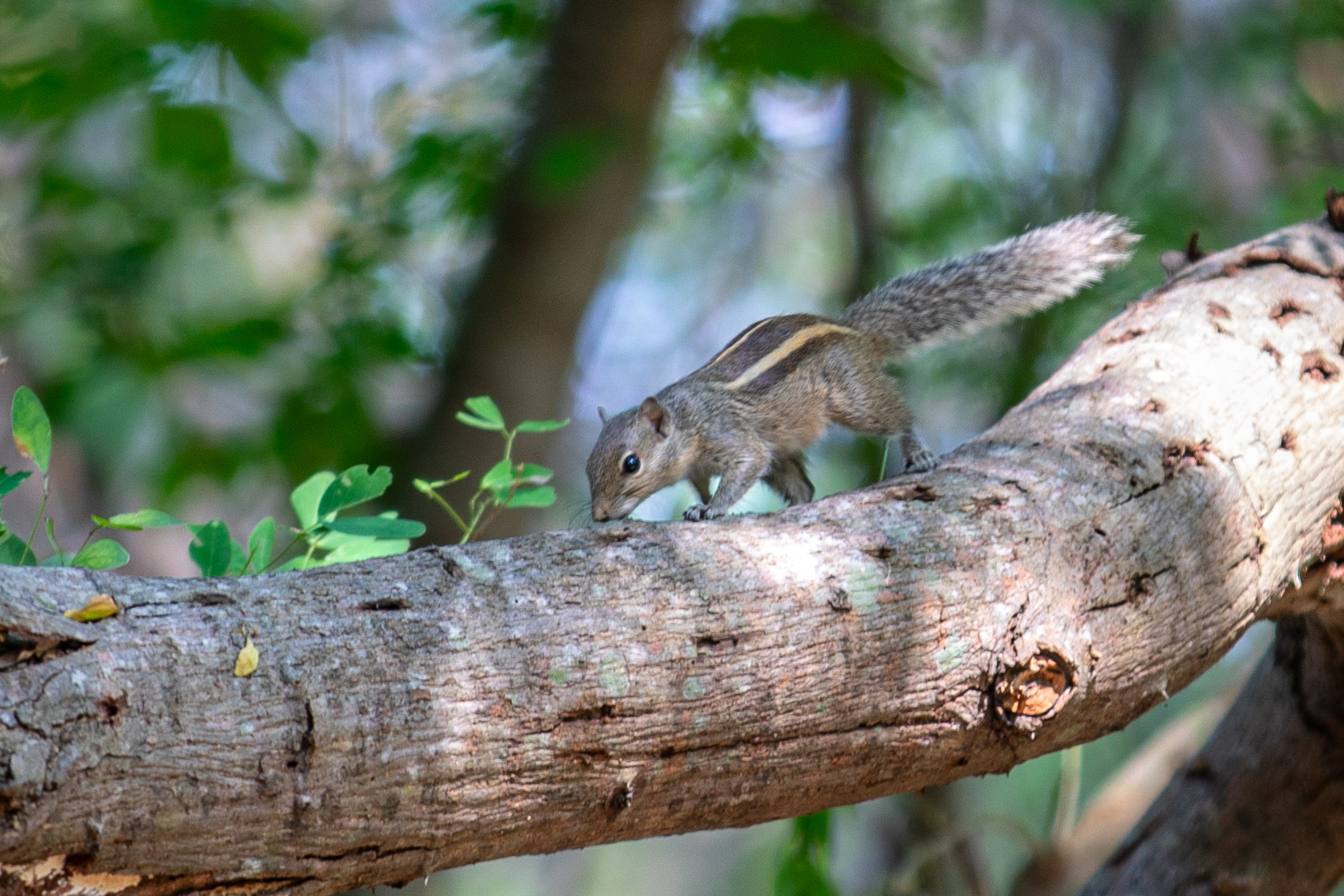 20240124104245 RD4 1638