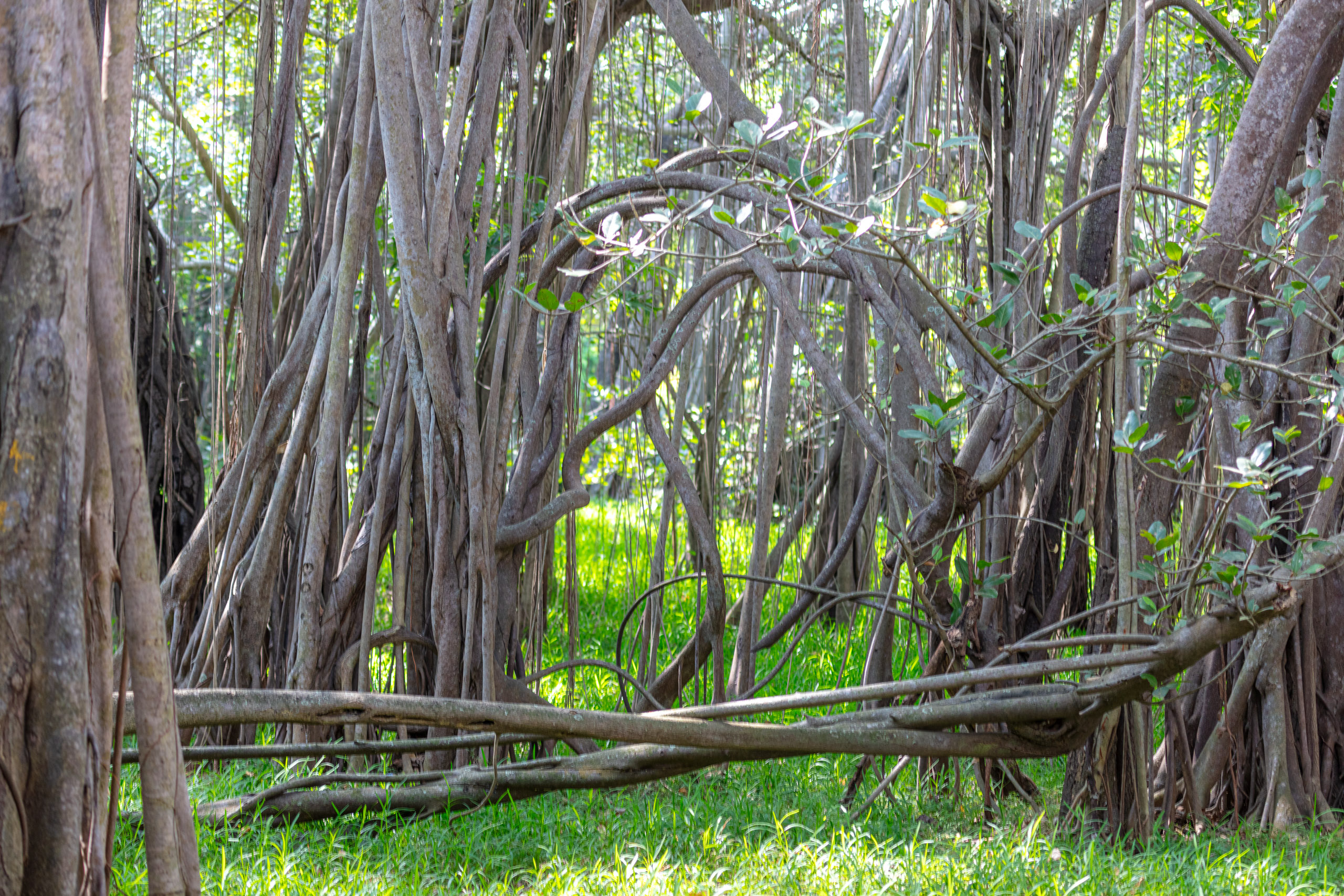 20240125102908 DP010629