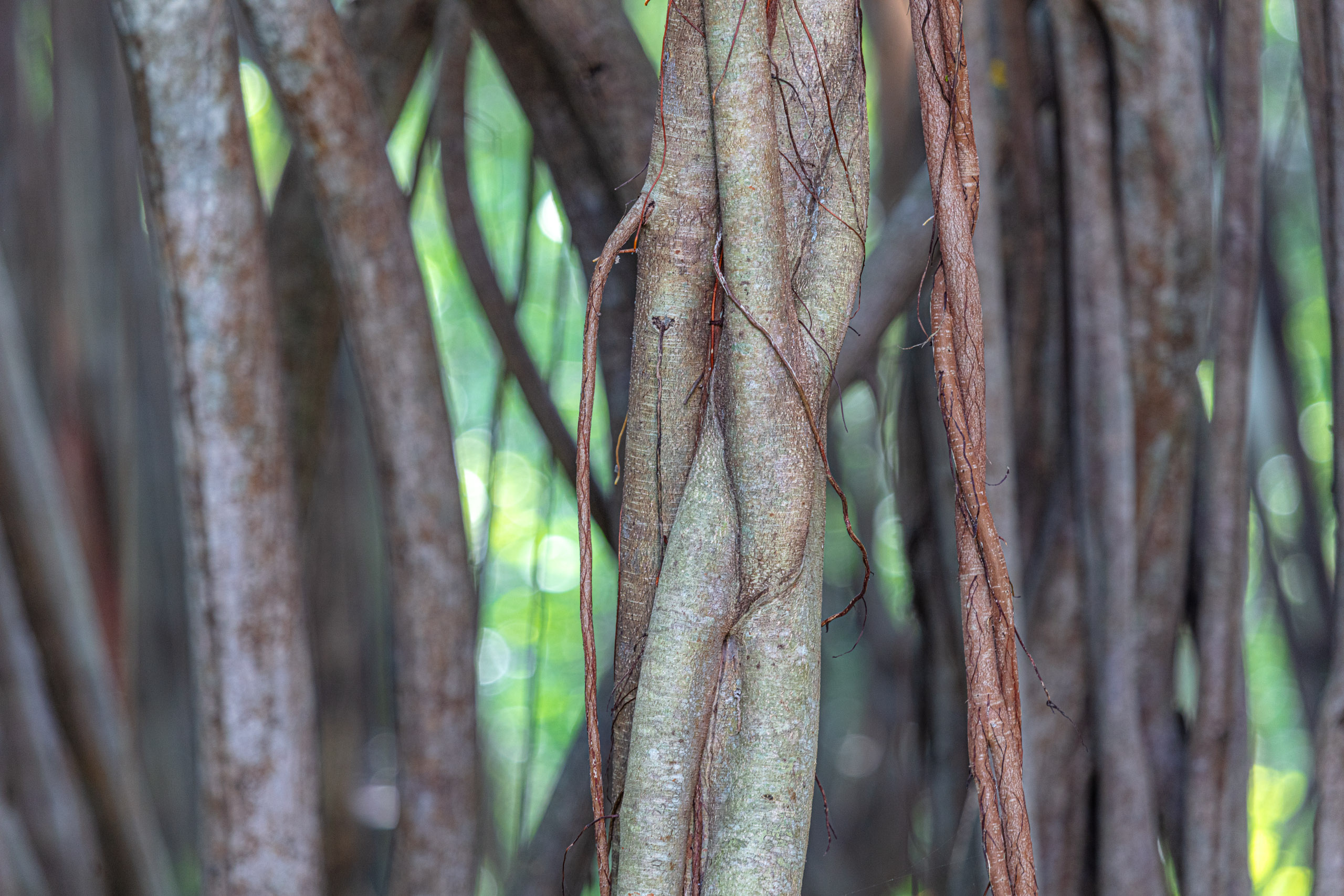 20240125102957 DP010641