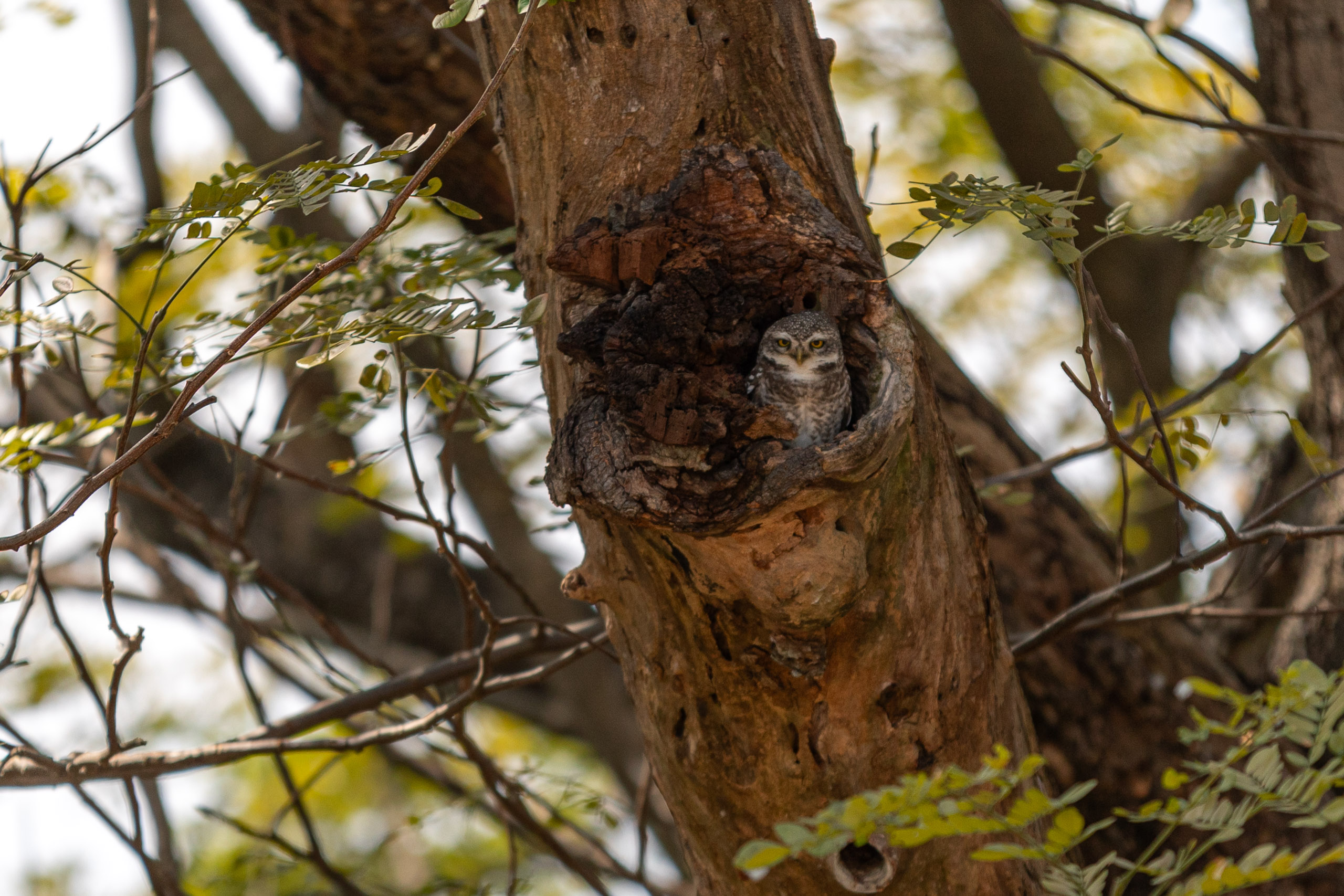 20240125132133 RD4 2368