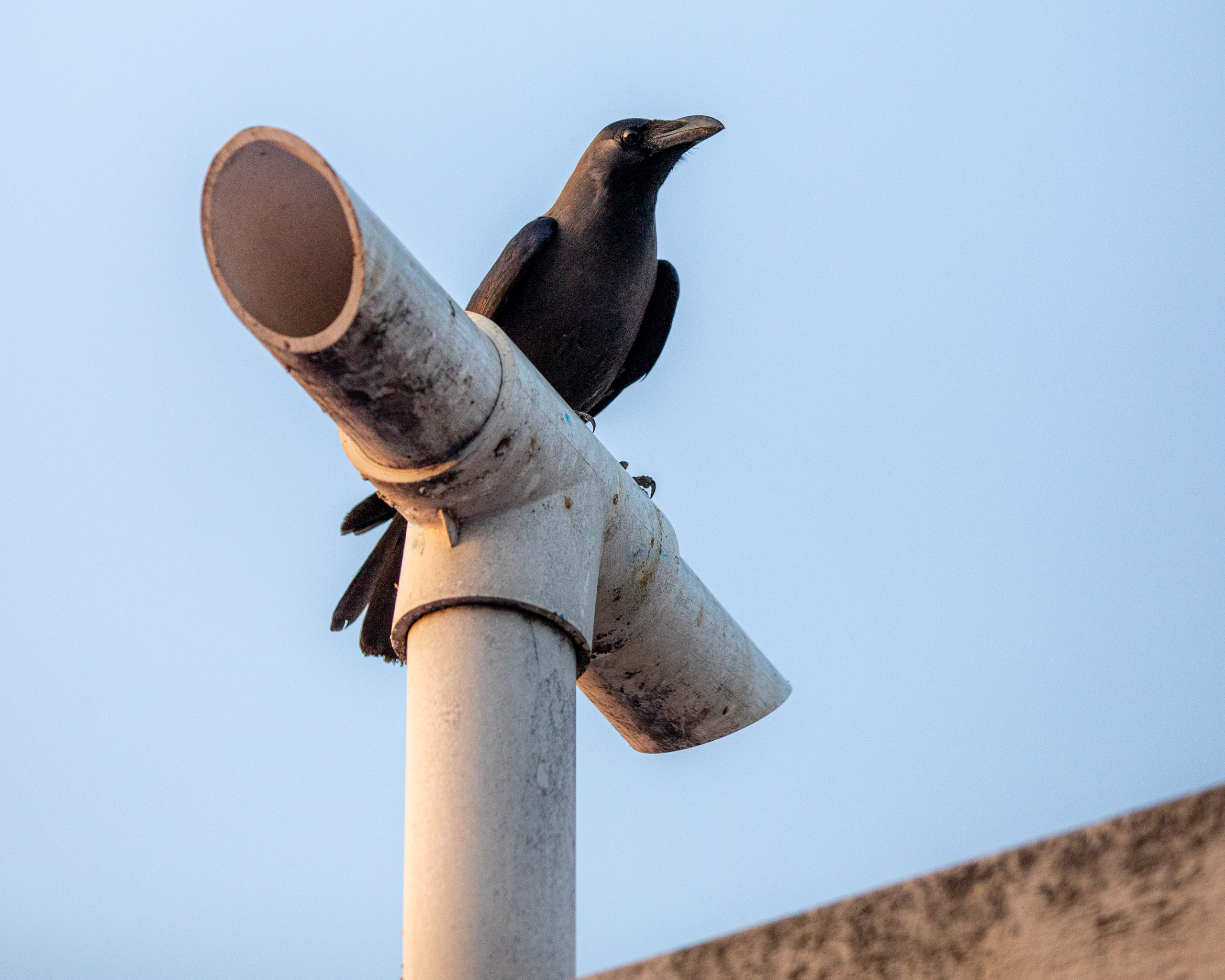 20240125174150 RD4 2809