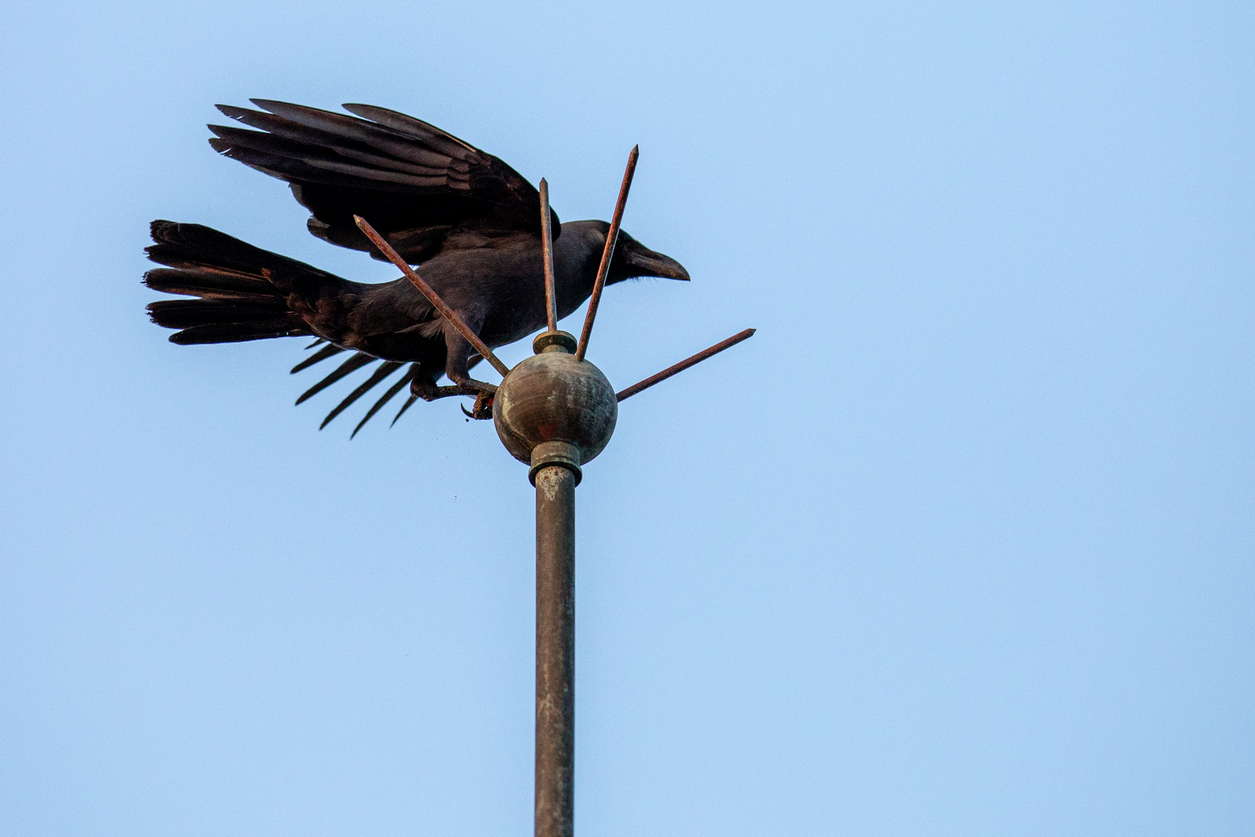 20240125174154 RD4 2810