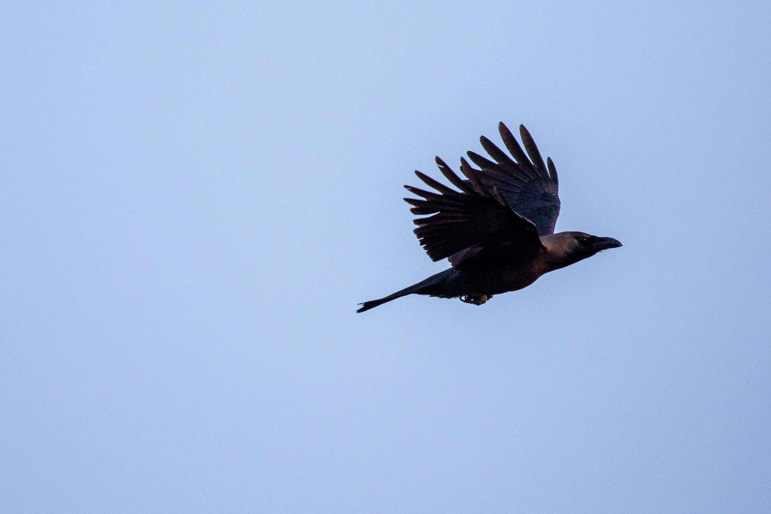 20240125174205 RD4 2819