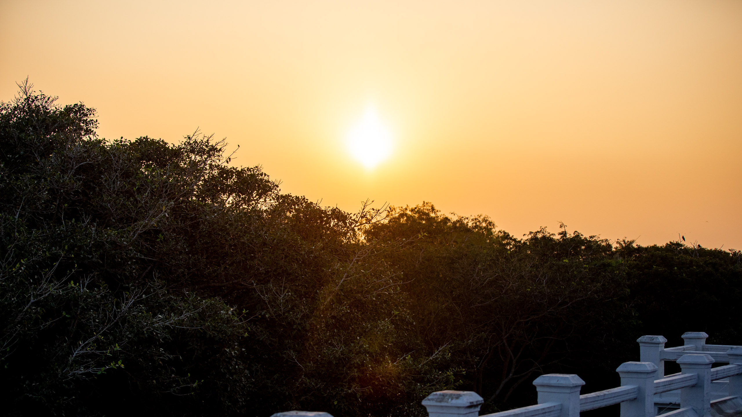 20240125174229 RD4 2831