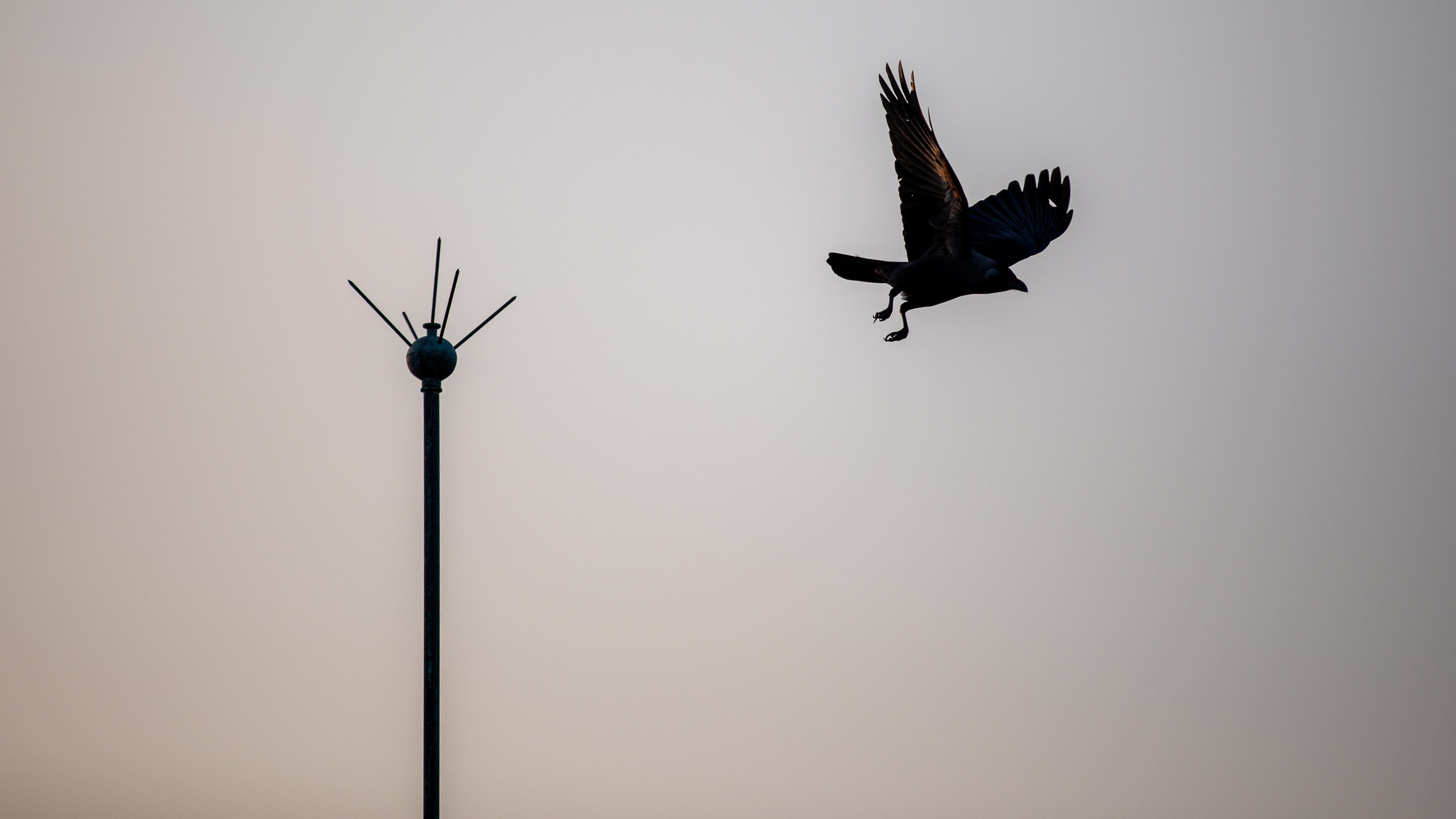 20240125174404 RD4 2839