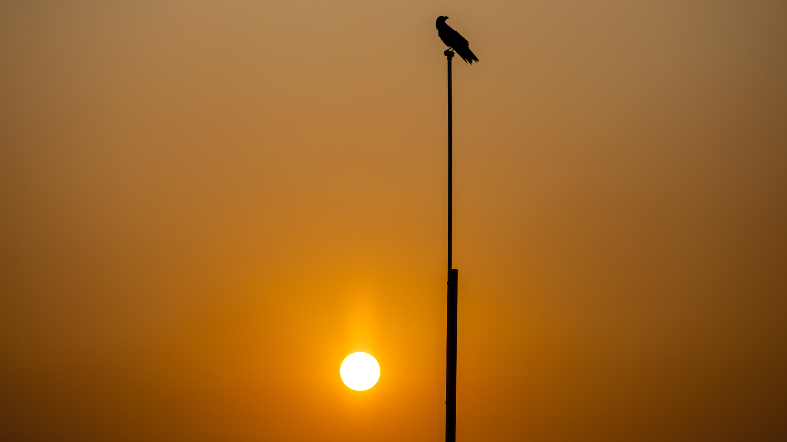 20240125174520 RD4 2849