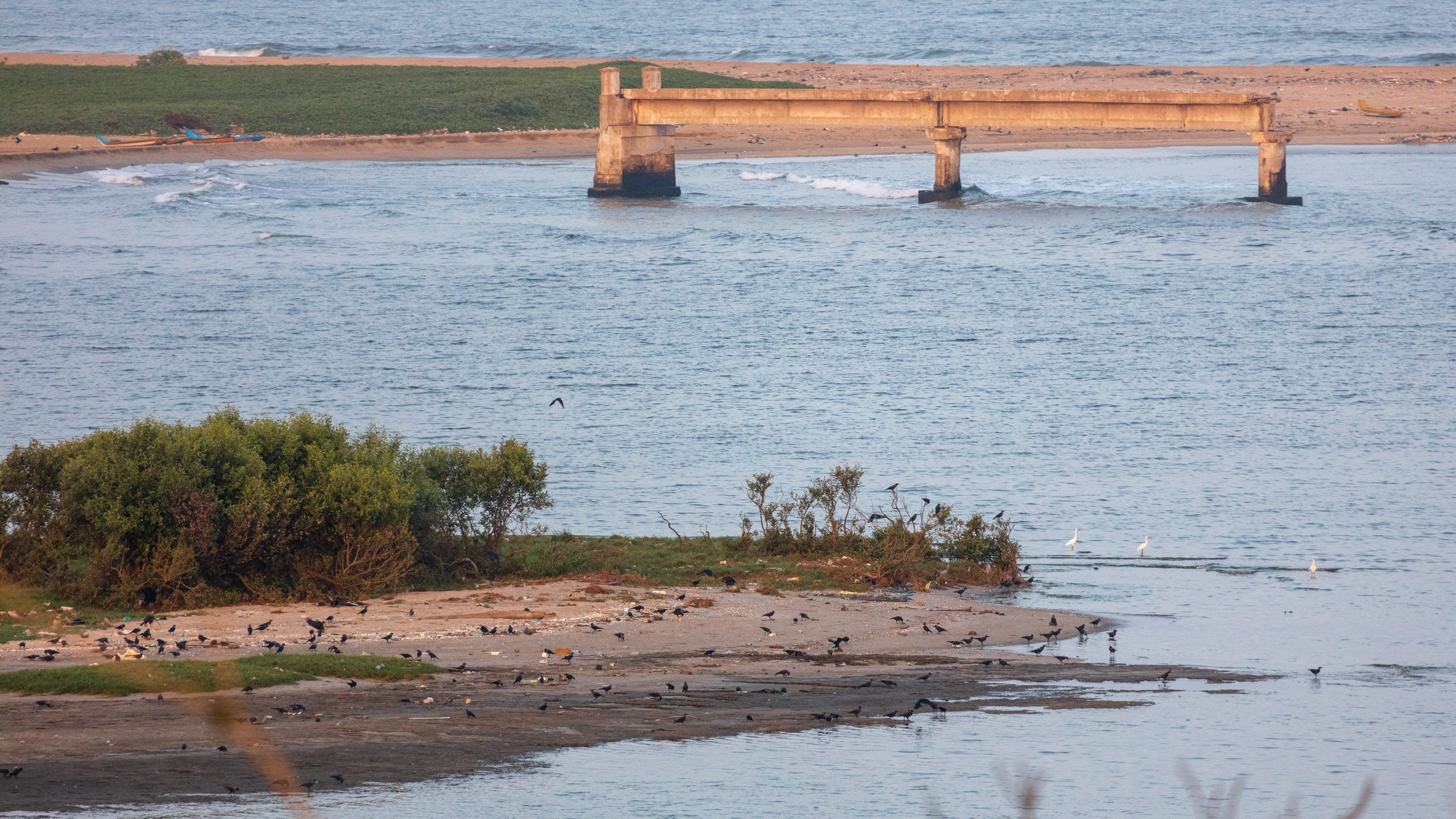 20240125174749 DP010679