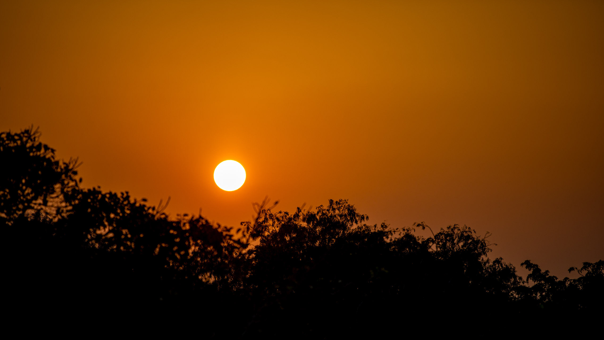 20240125175003 RD4 2855