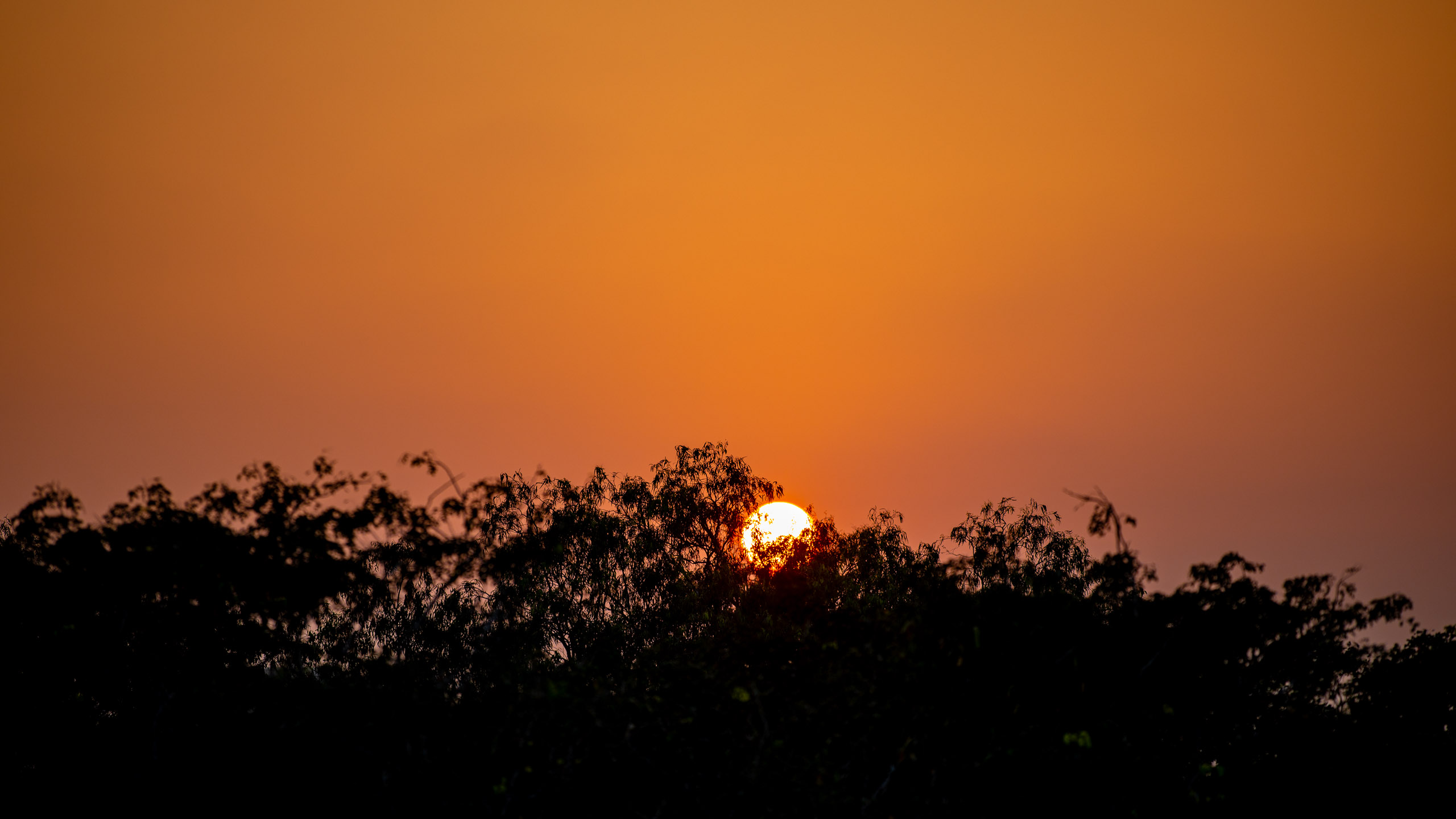 20240125175358 RD4 2862