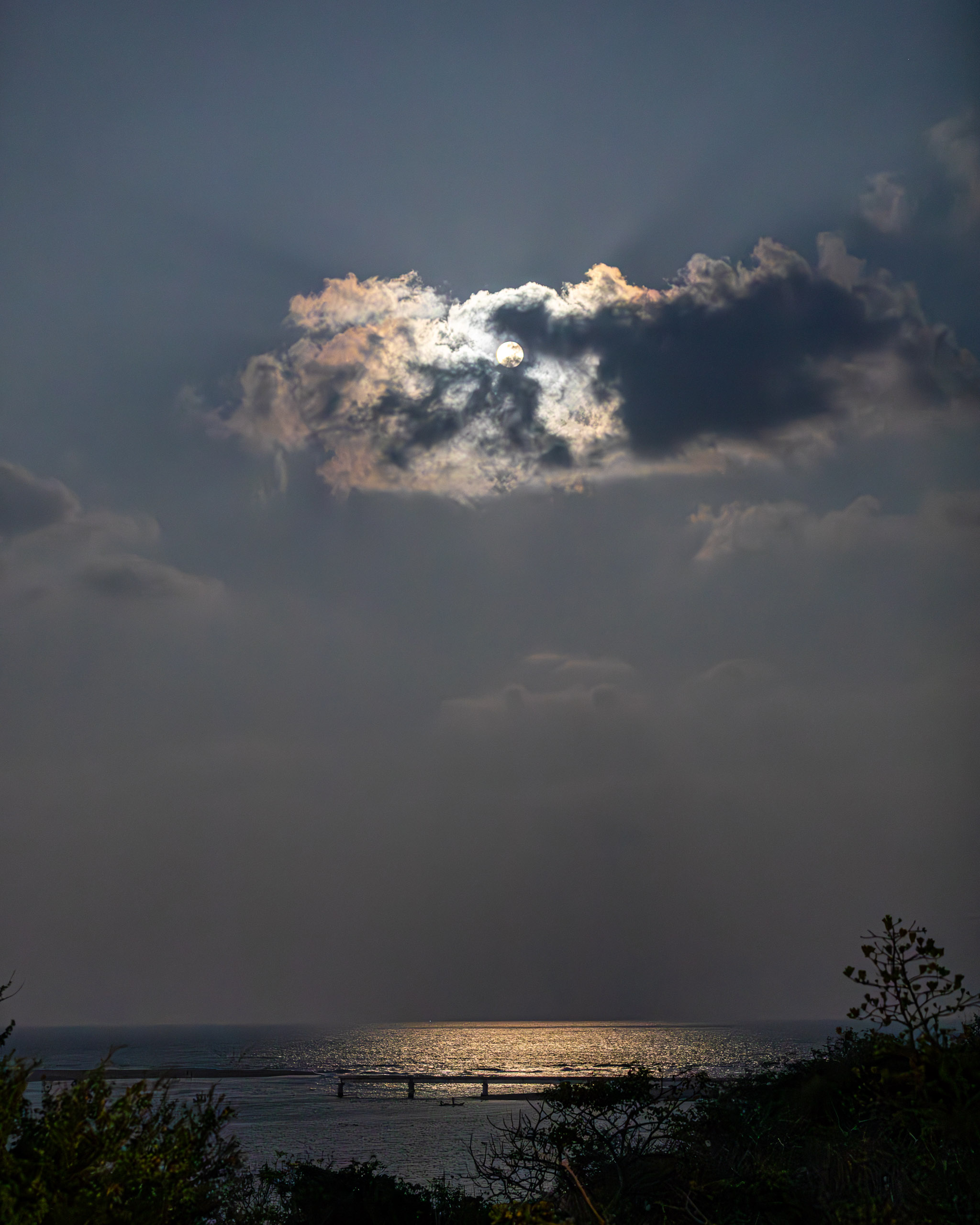 20240125185456 RD4 2877 e