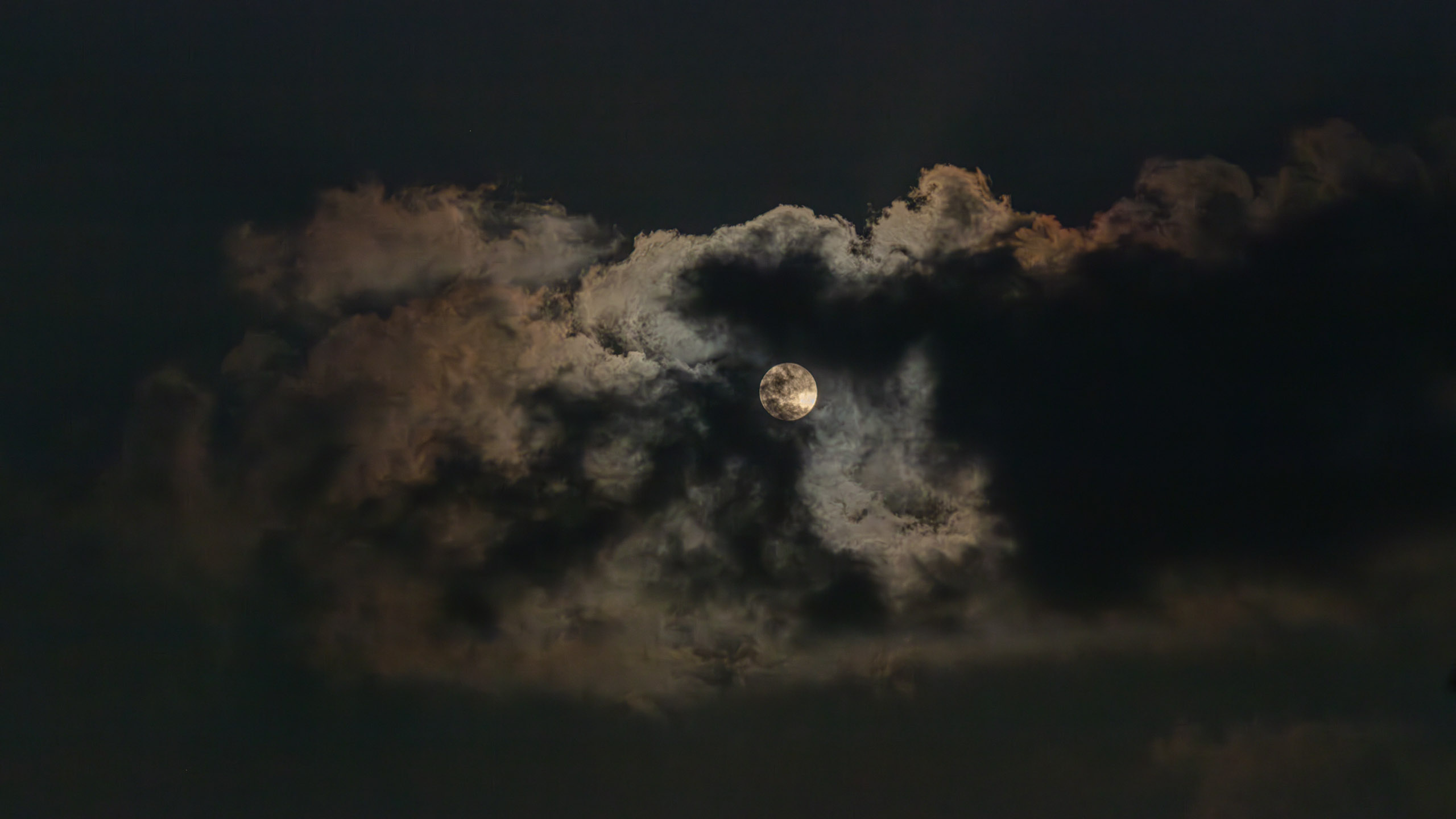 20240125185516 DP010743 e