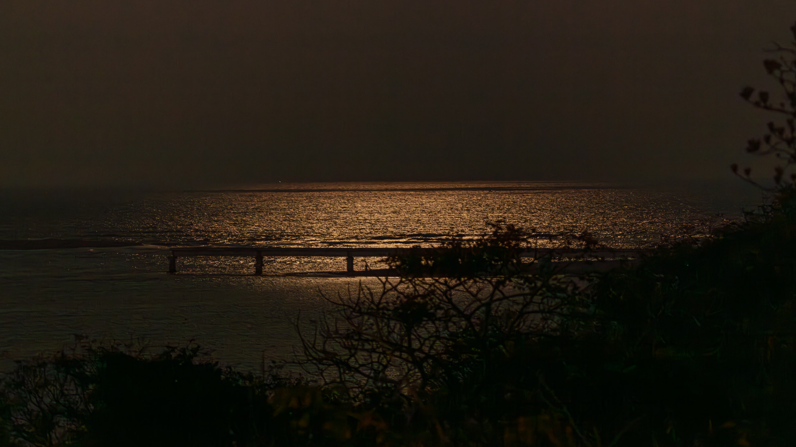 20240125185603 DP010752 e