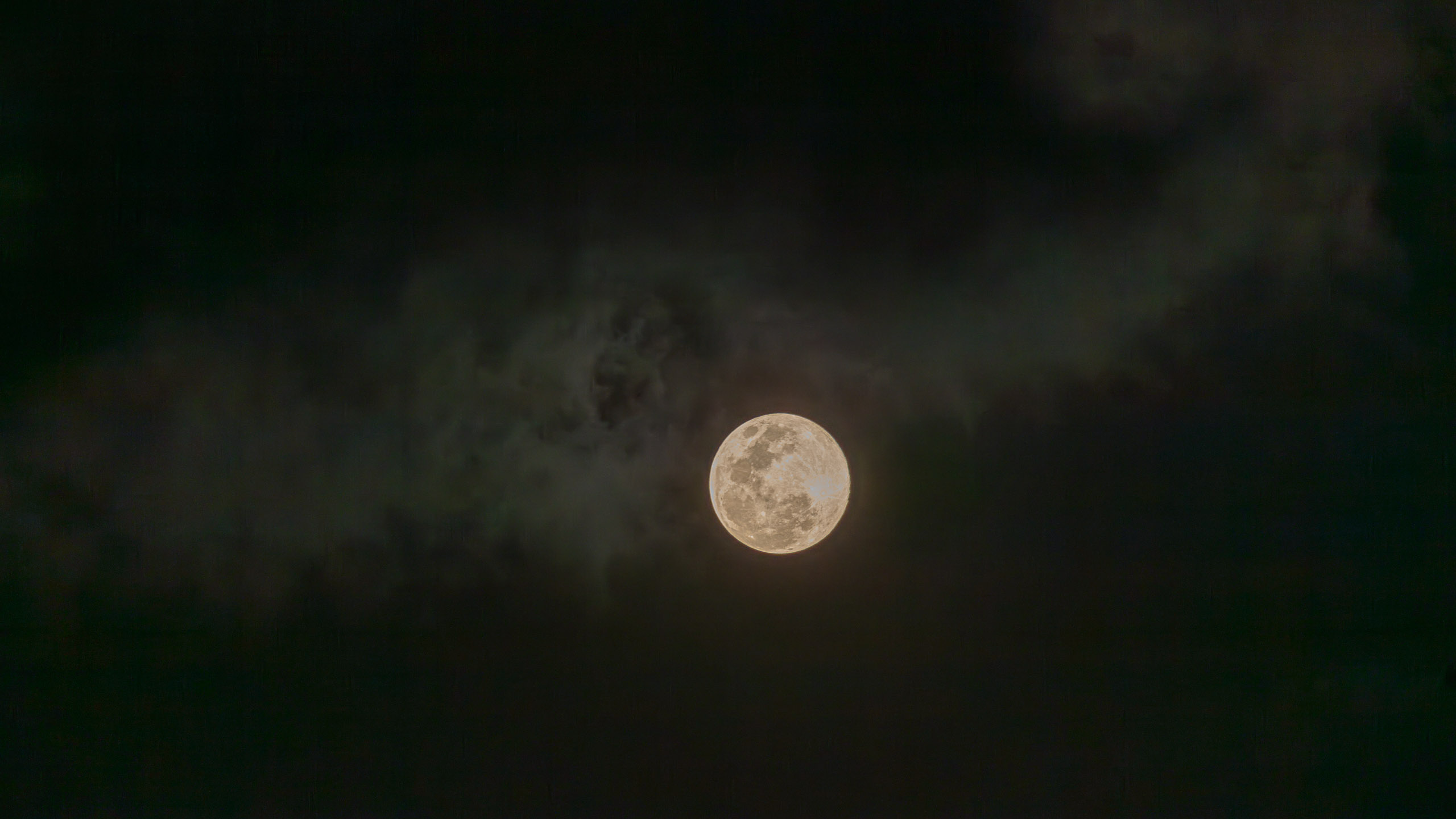 20240125185919 DP010783 e