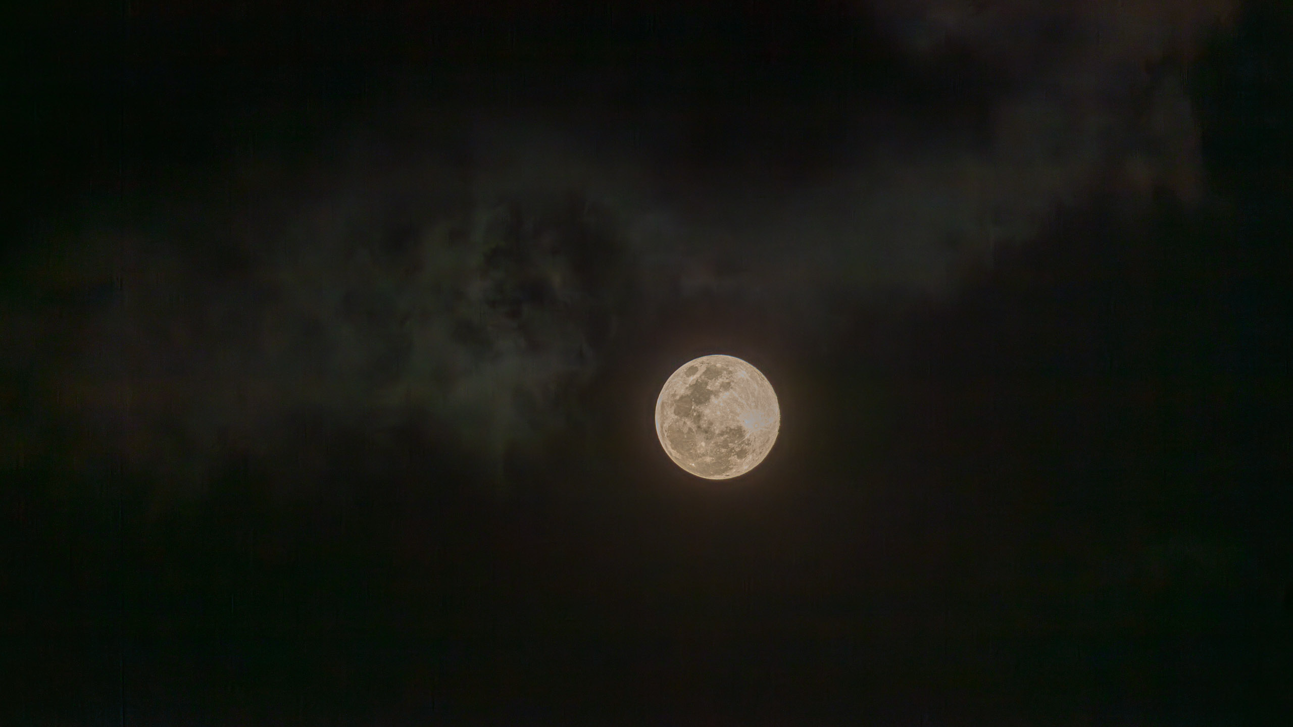 20240125185932 DP010789 e