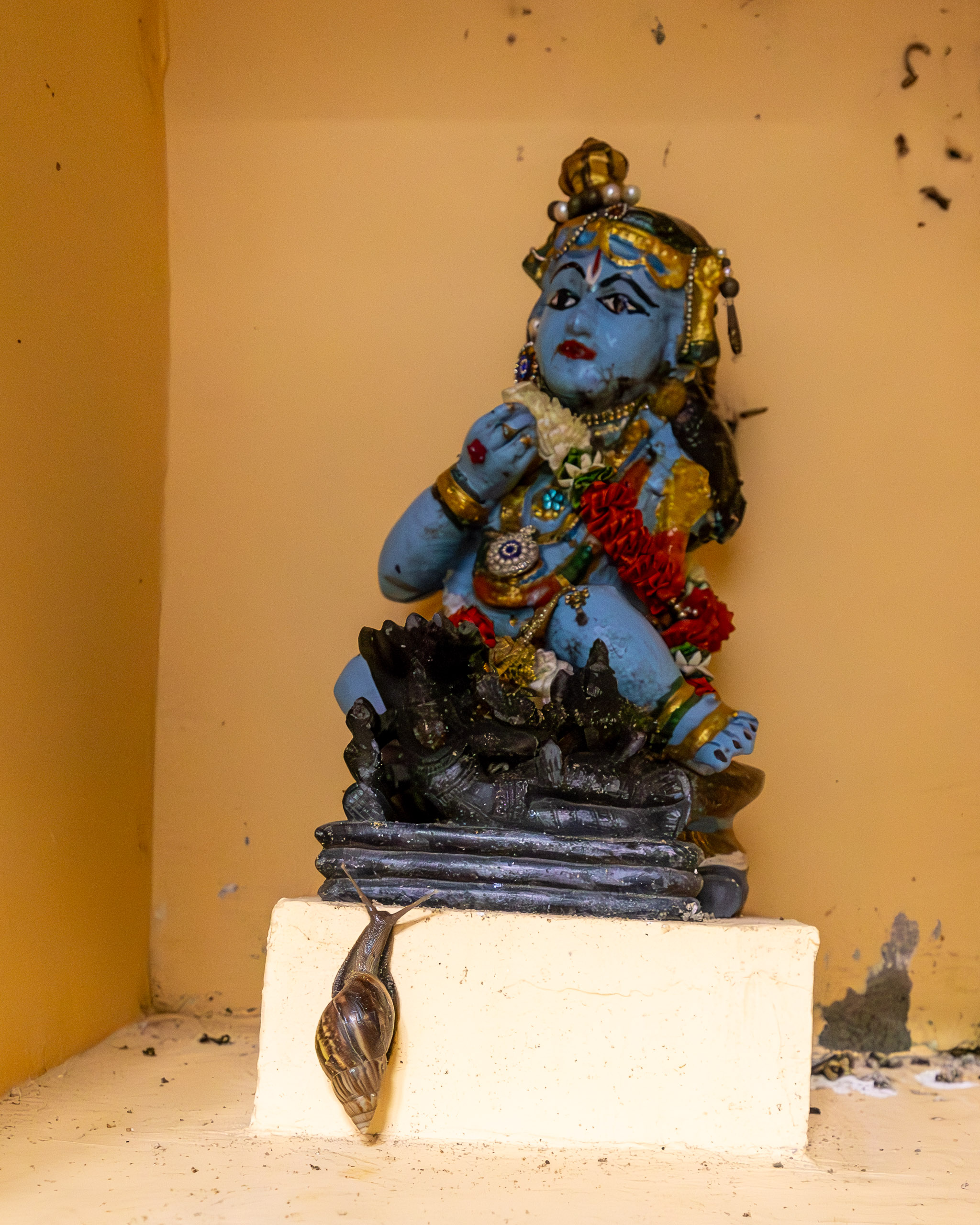 20240127054807 R5D 6746 e