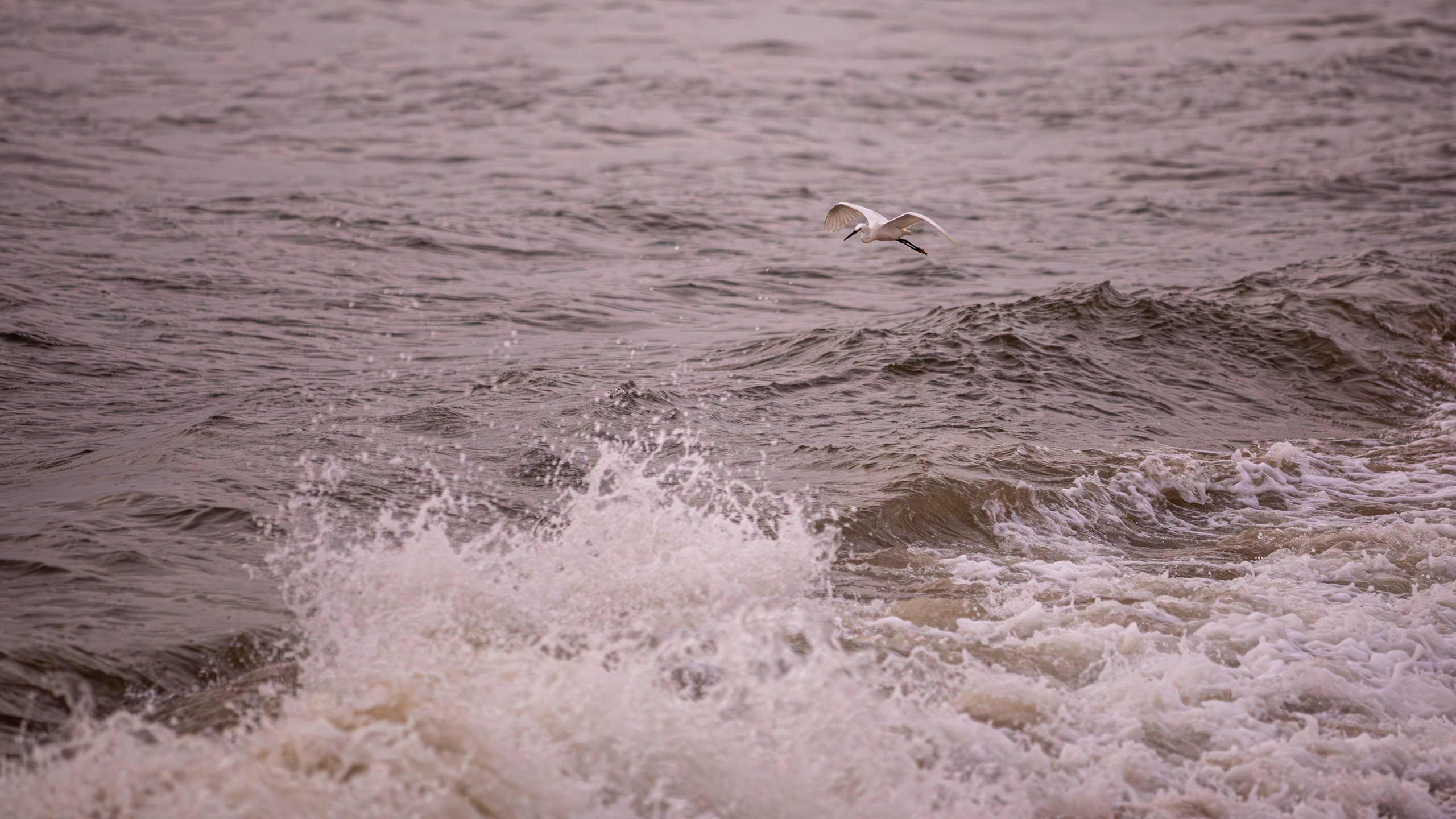 20240127062932 RD4 2997 e