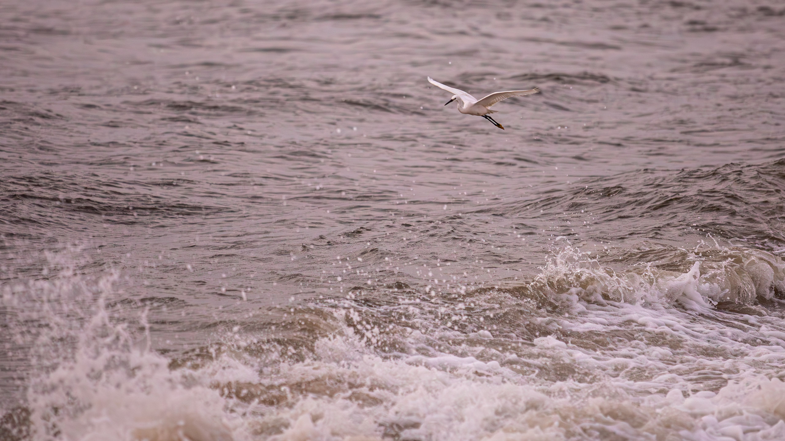 20240127062932 RD4 2998 e