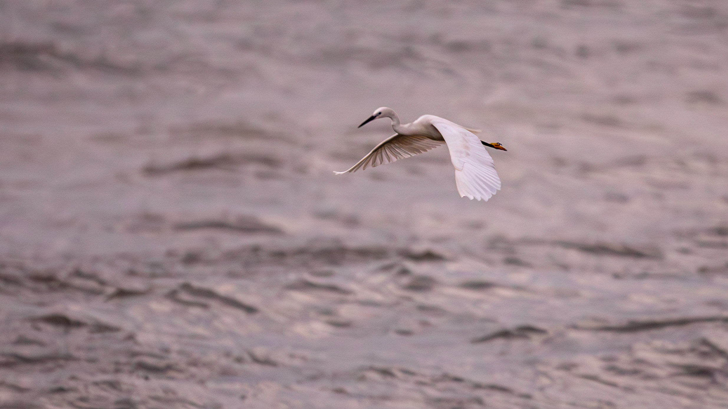 20240127062939 RD4 3008 e