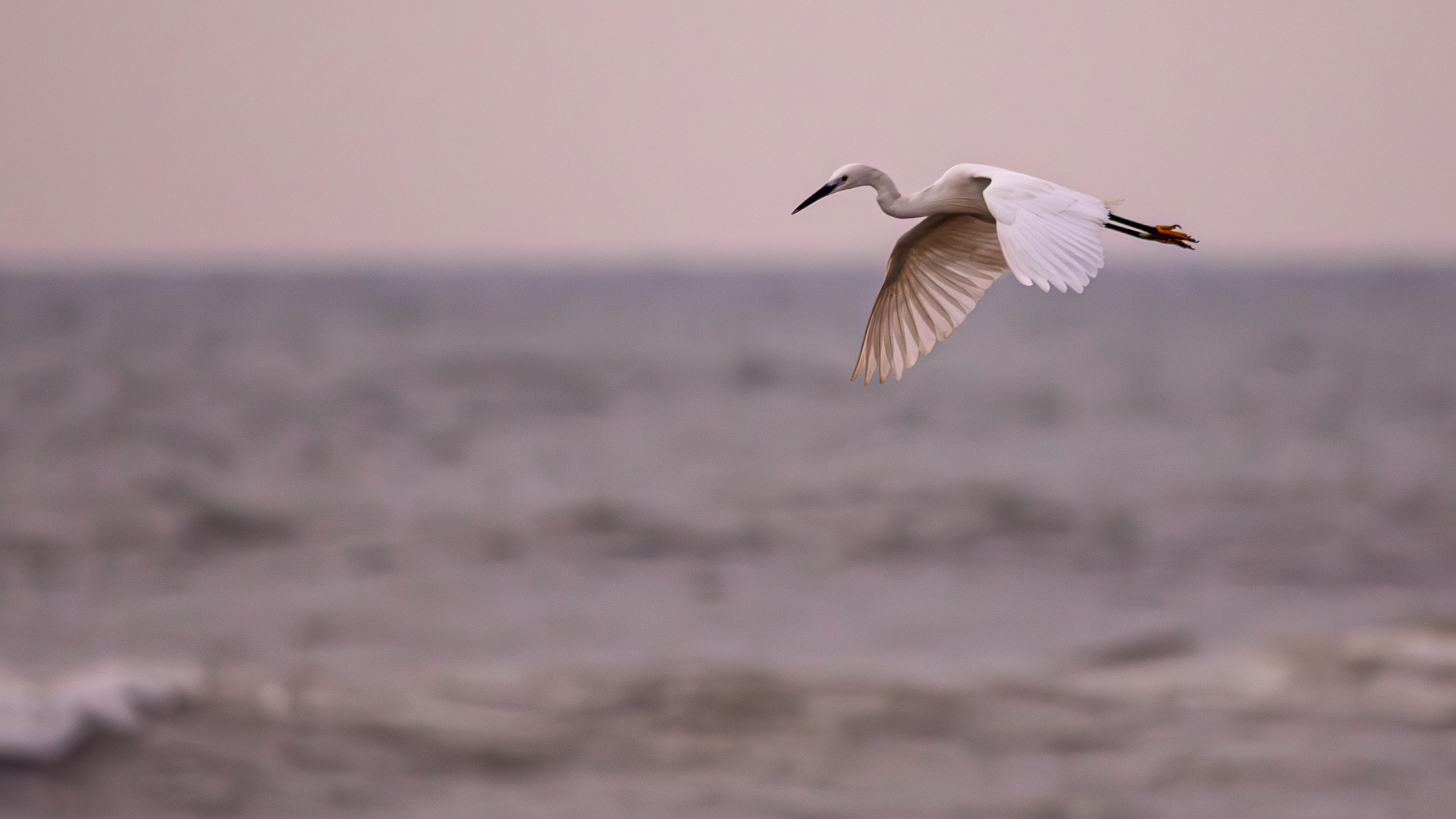 20240127062946 RD4 3012 e