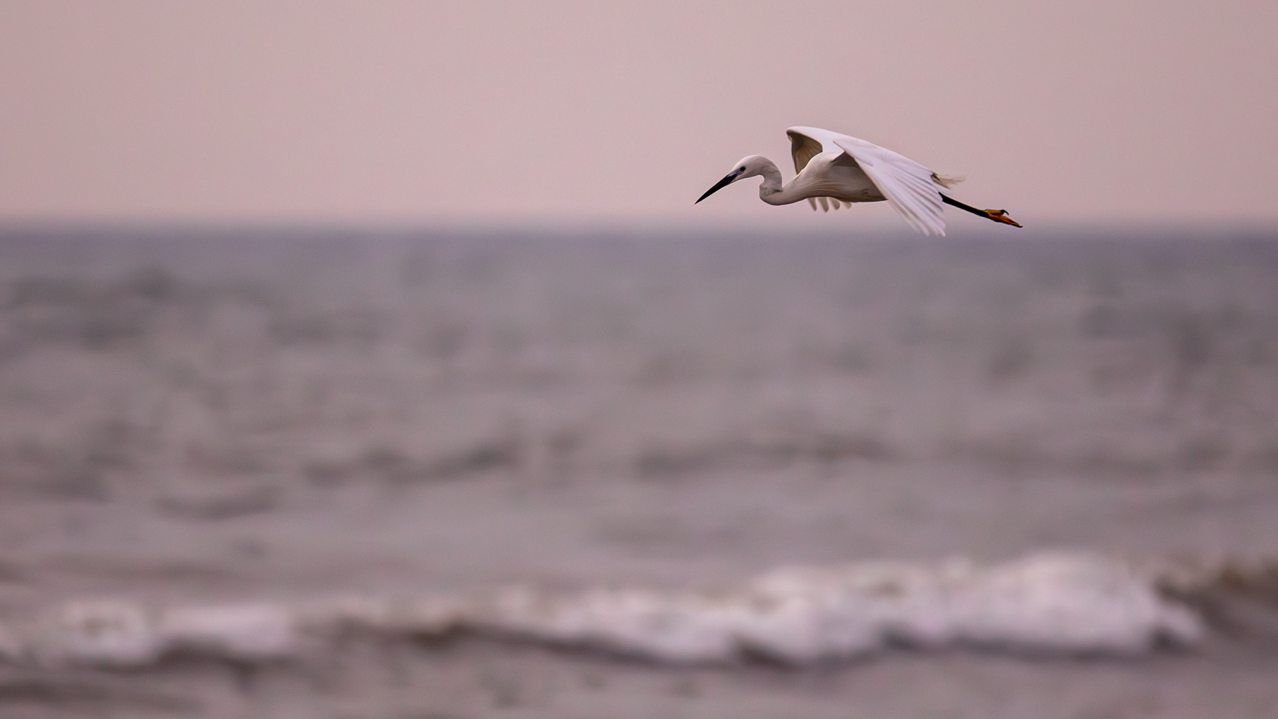 20240127062947 RD4 3015 e