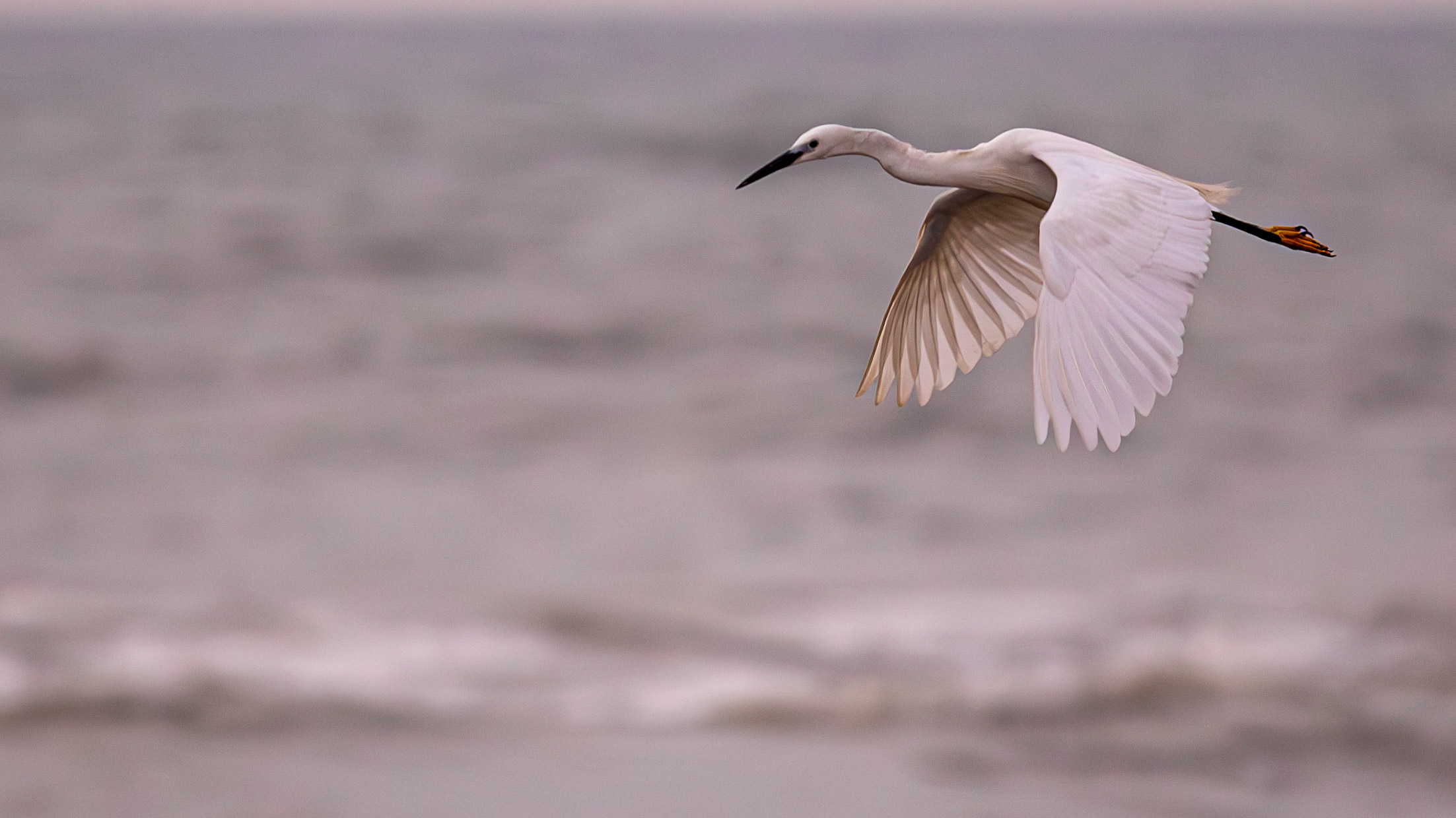 20240127062948 RD4 3016 e