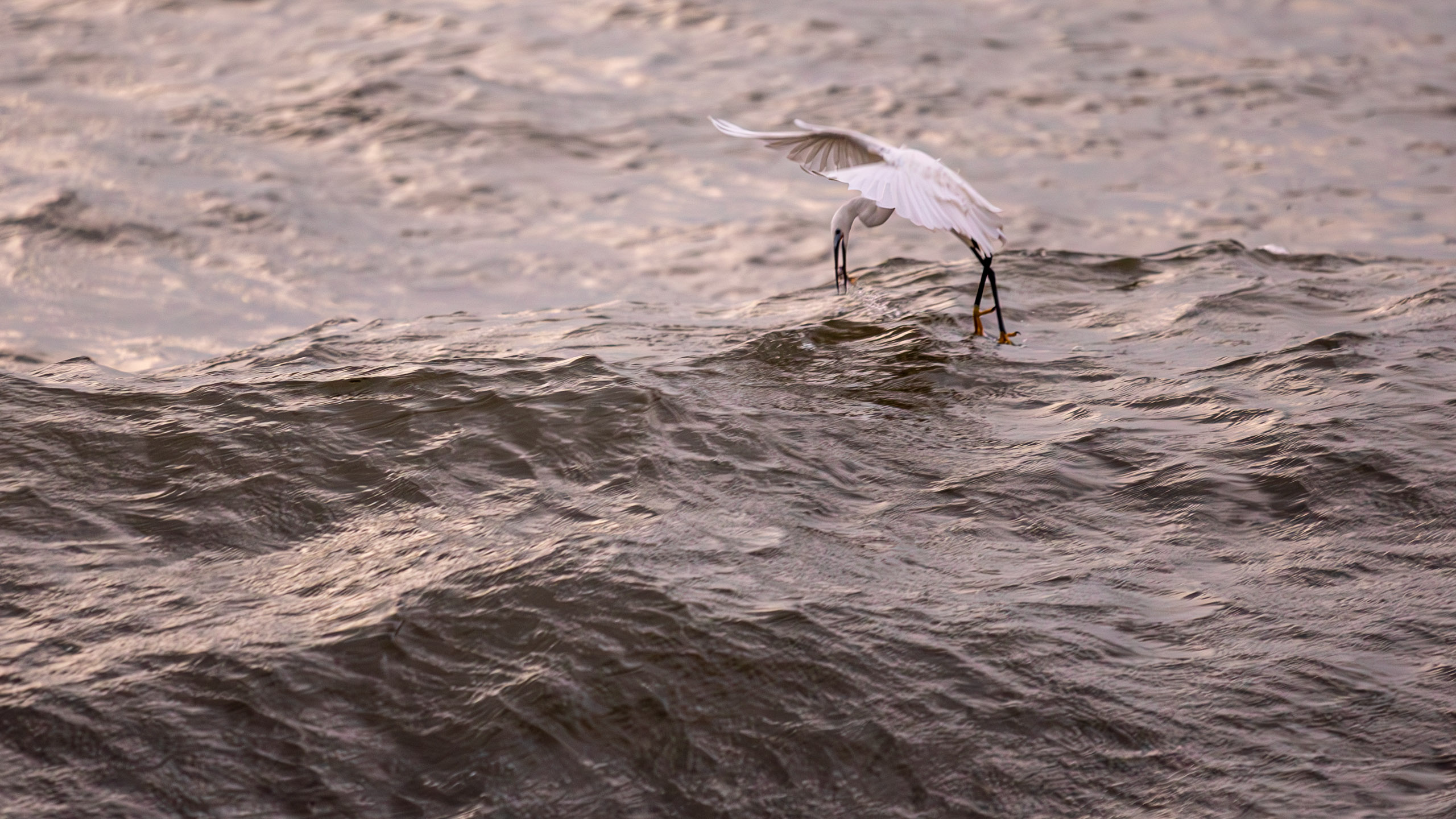 20240127062950 RD4 3020 e