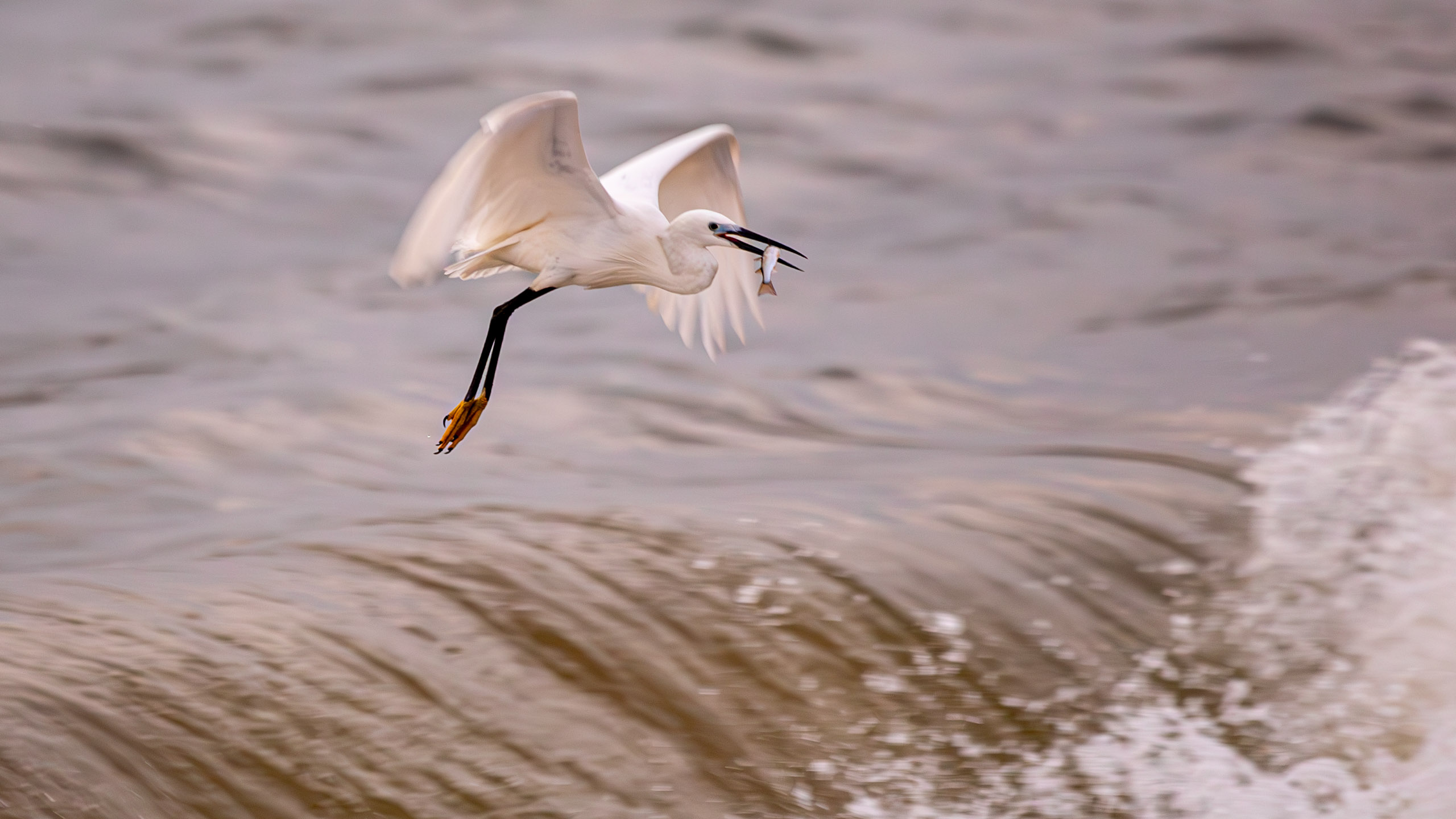 20240127062953 RD4 3027 e