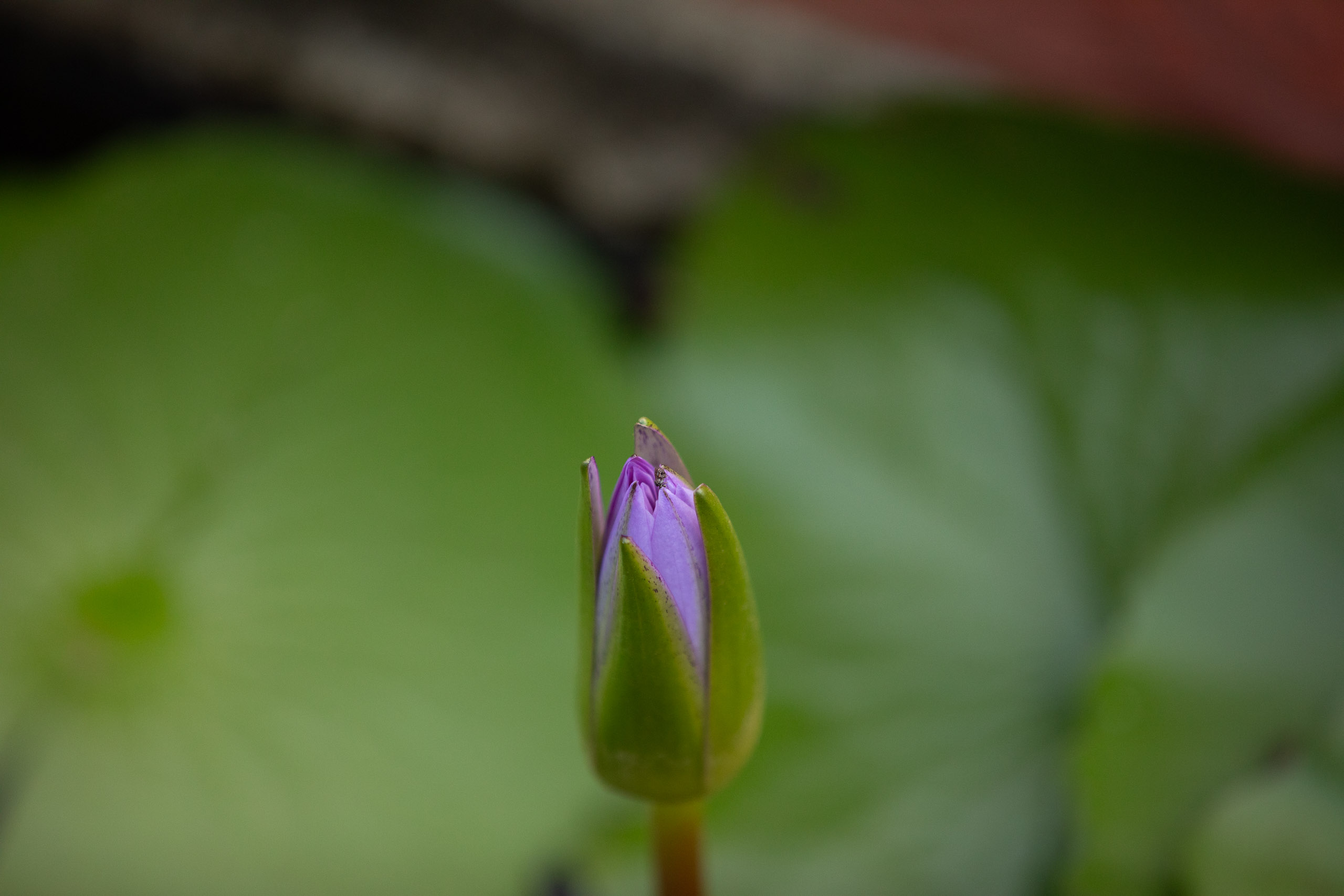 20240127065604 RD4 3074