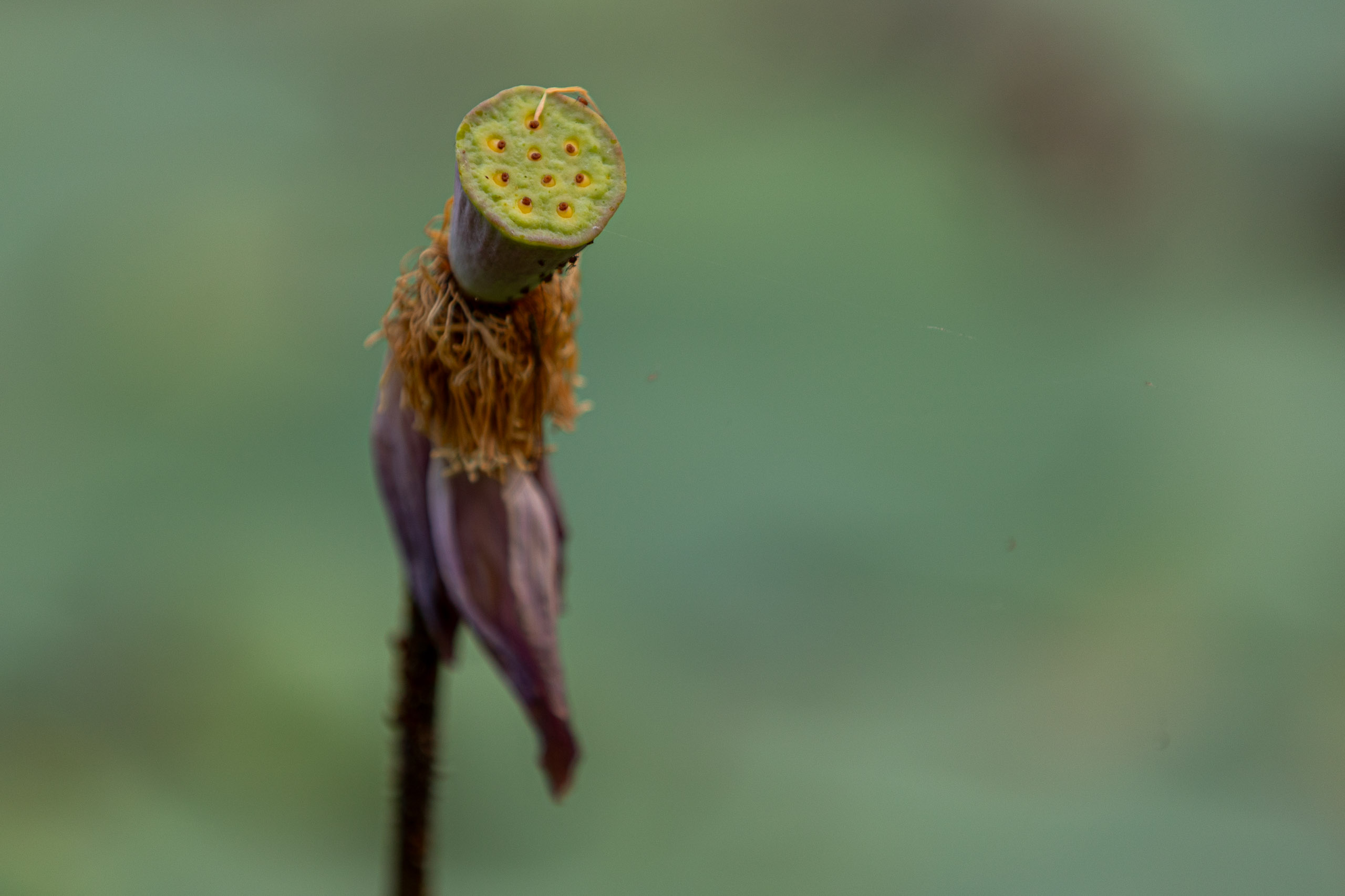 20240127065938 RD4 3088