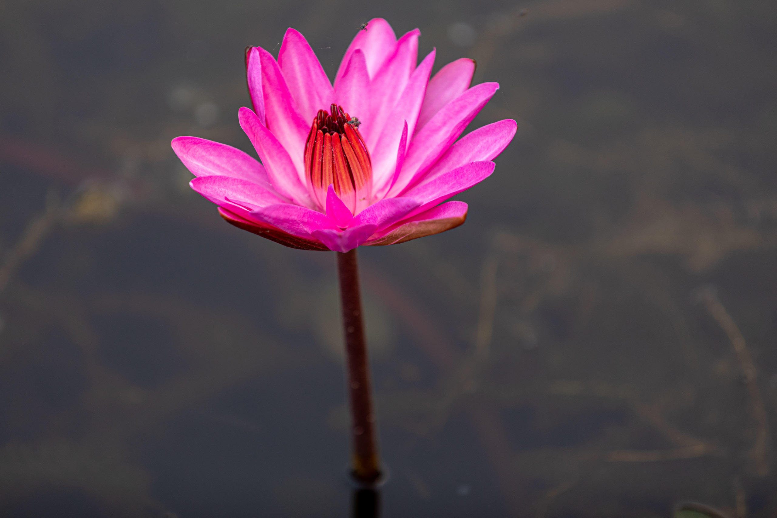 20240127070054 RD4 3091