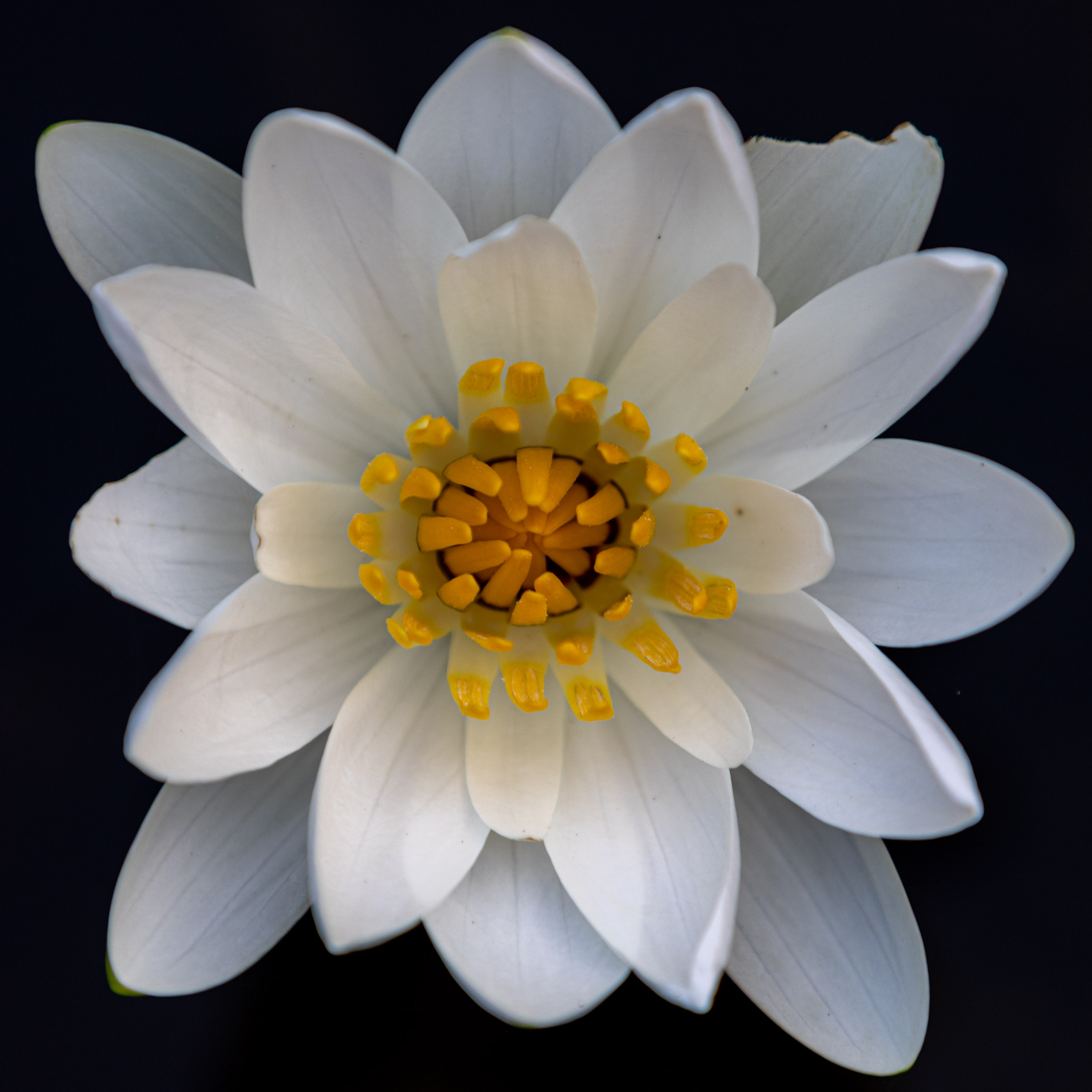 20240127070112 RD4 3094