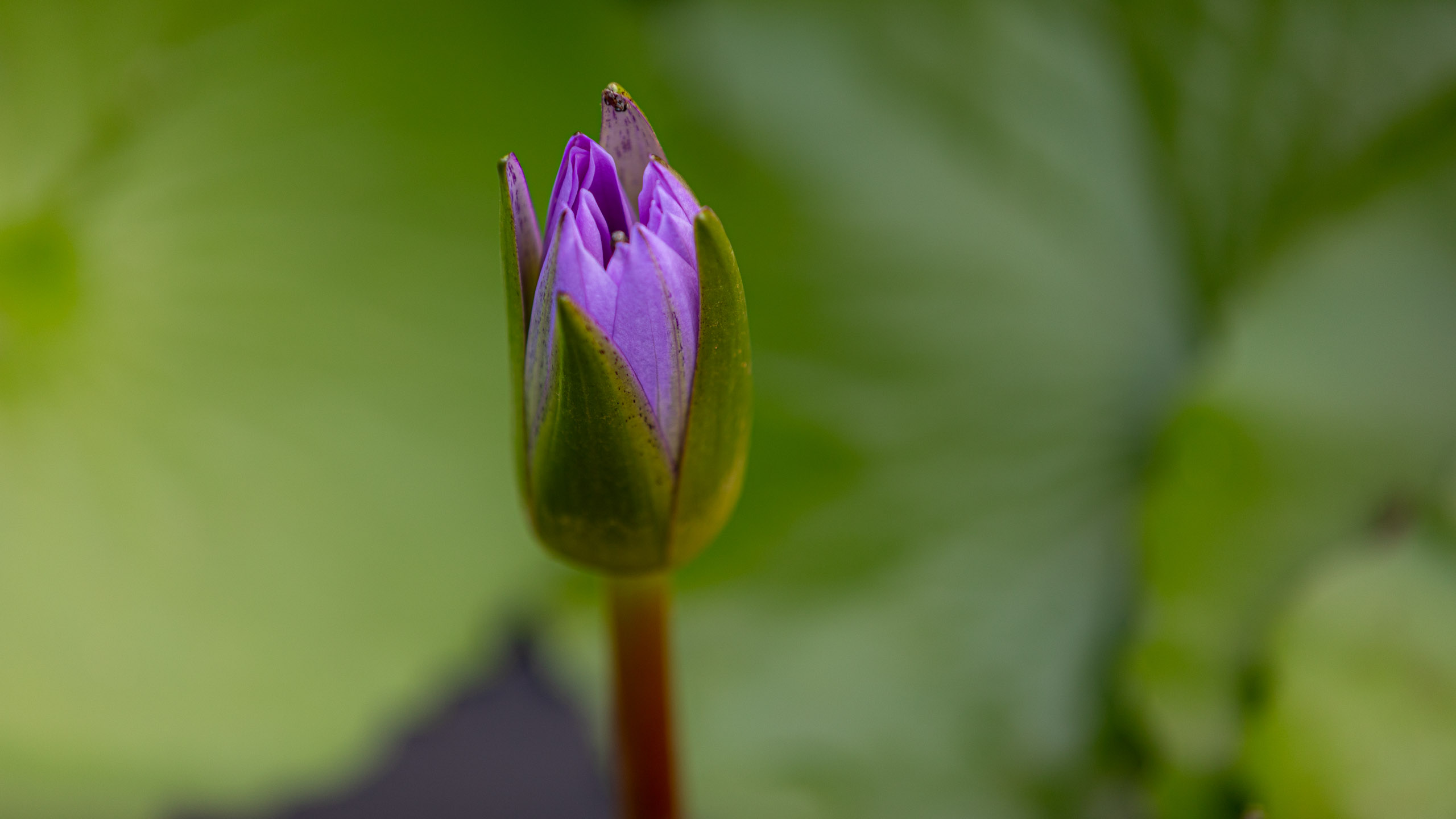 20240127070144 RD4 3096