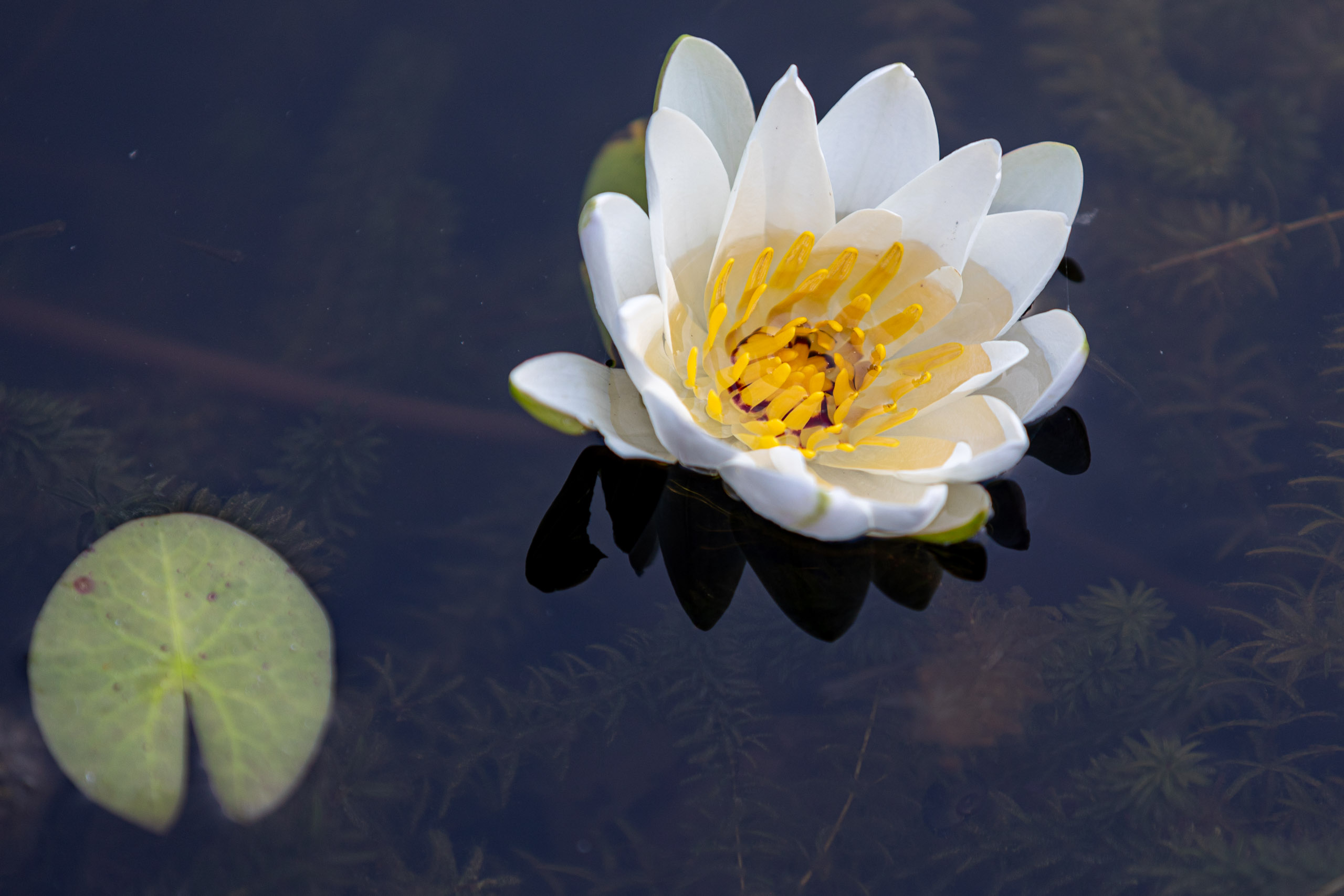 20240127070225 RD4 3103