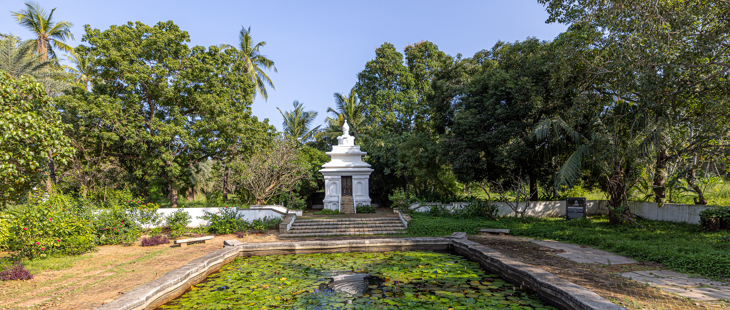 20240116152534 R5D 2908