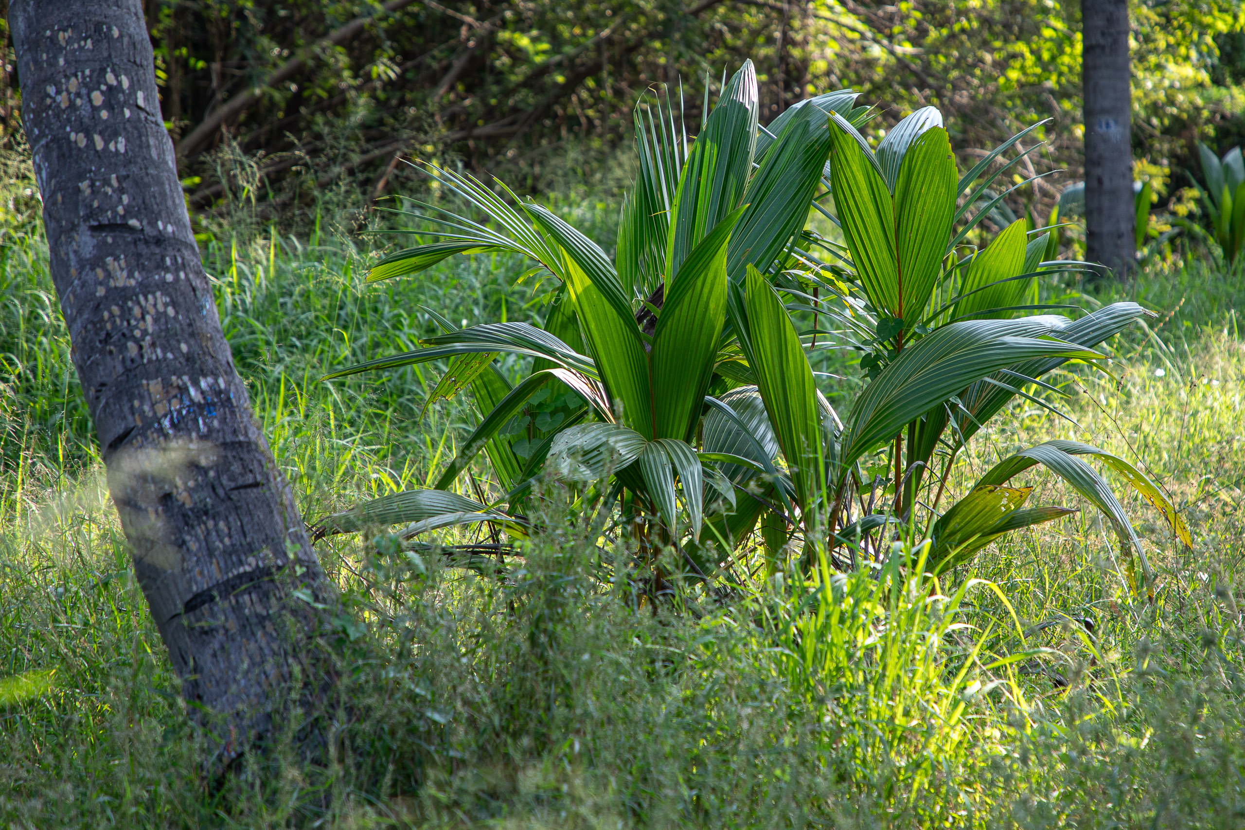 20240116153503 RD4 0899