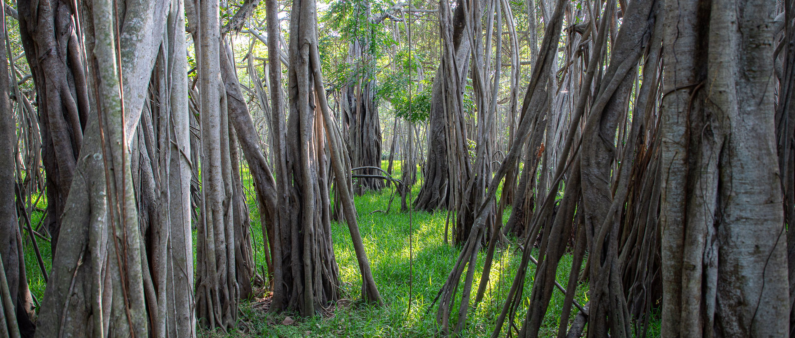 20240116153907 RD4 0909