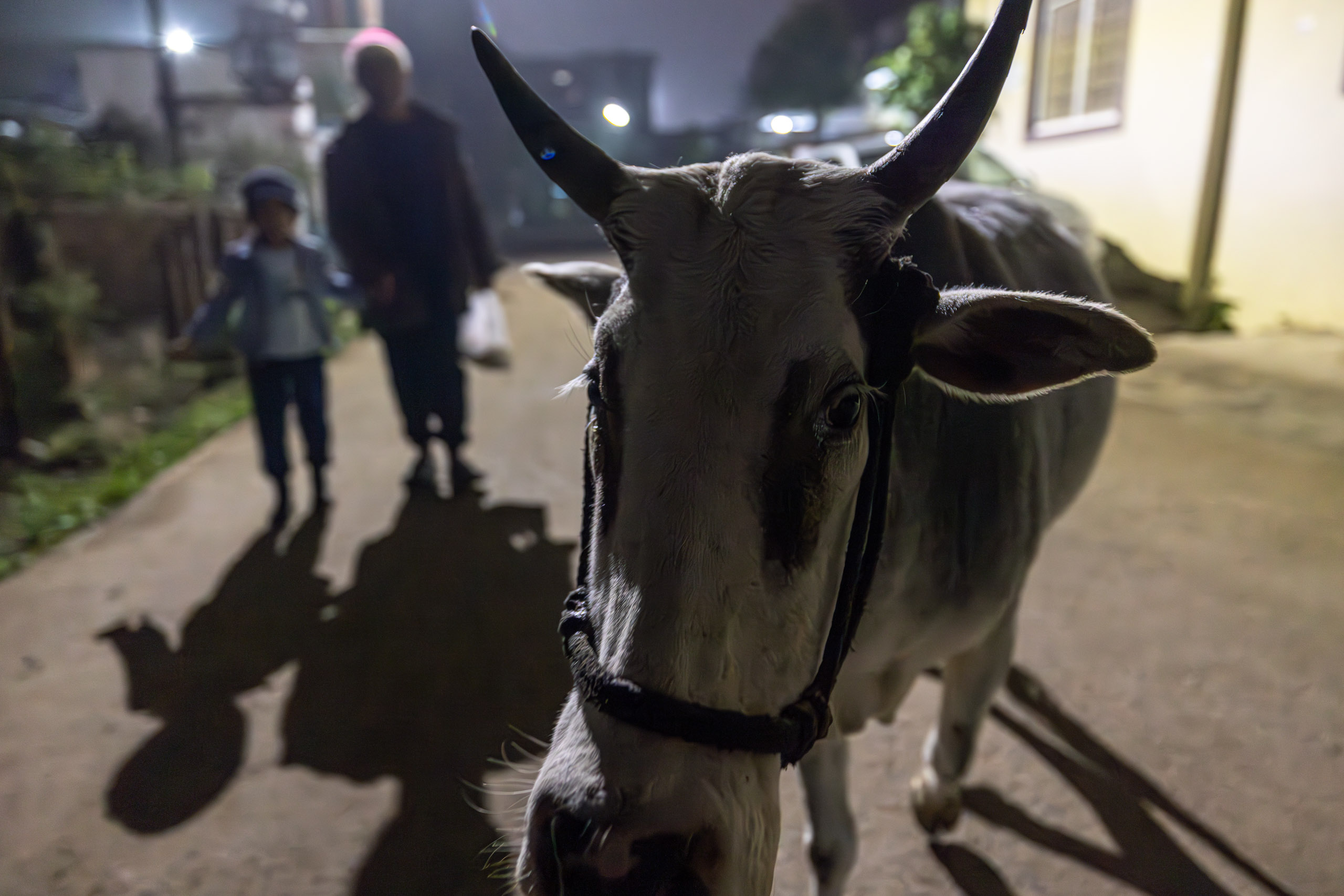 20240105191259 R5D 1653 e