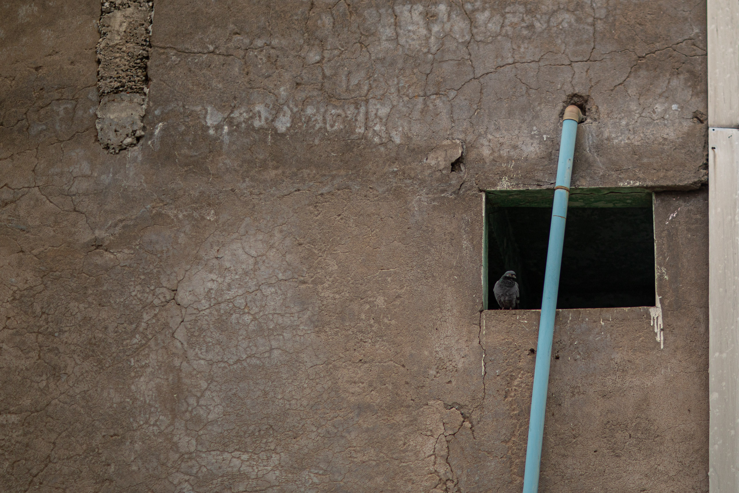 20240107102923 RD4 9232