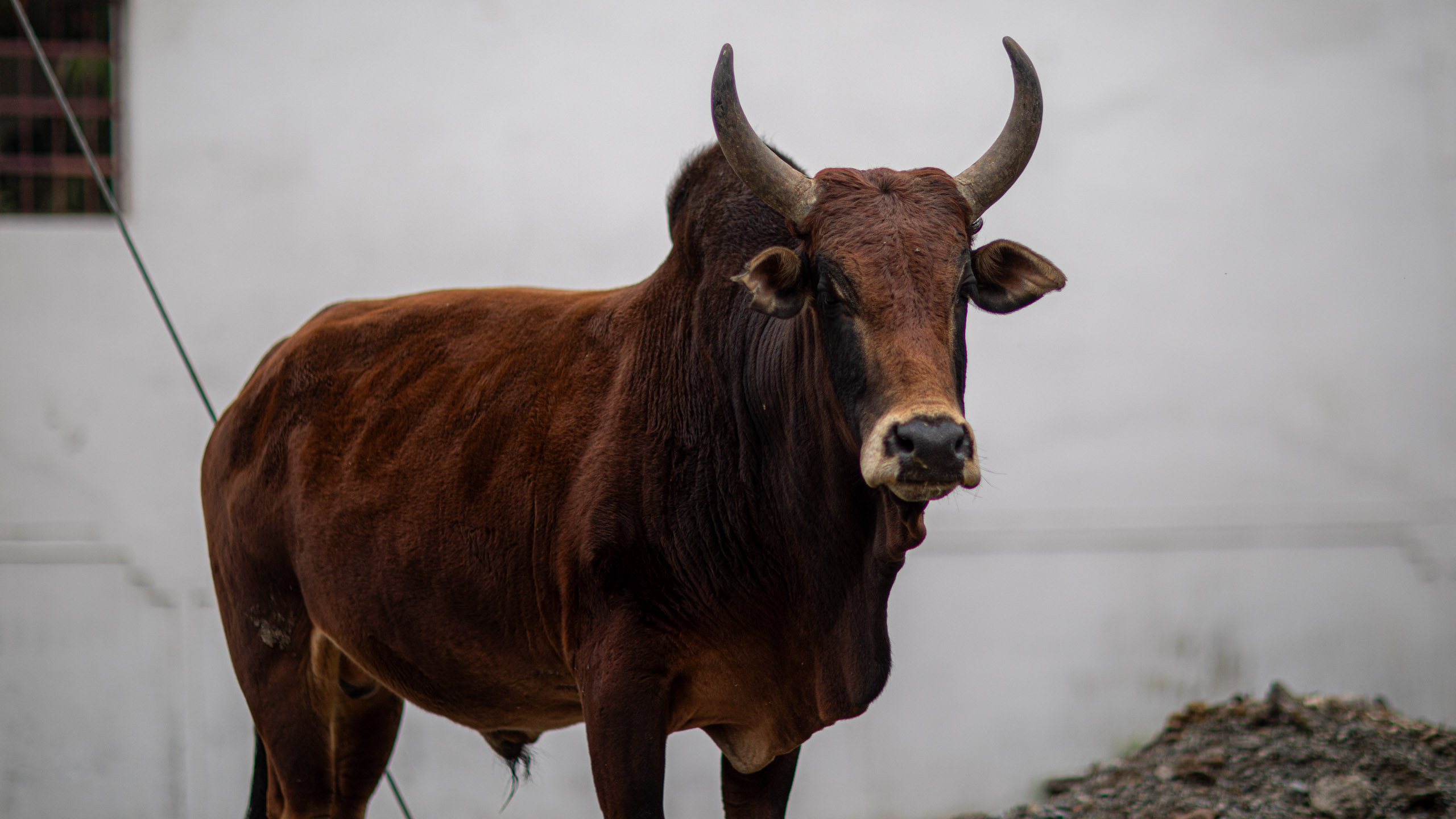 20240107103212 RD4 9233