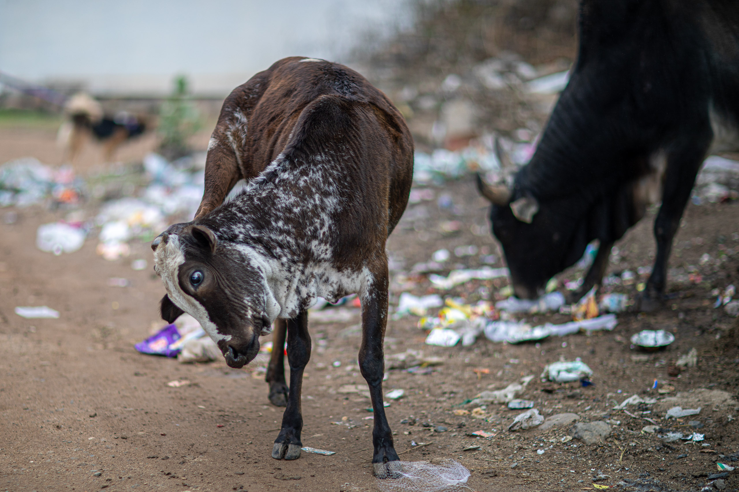 20240107103550 RD4 9242