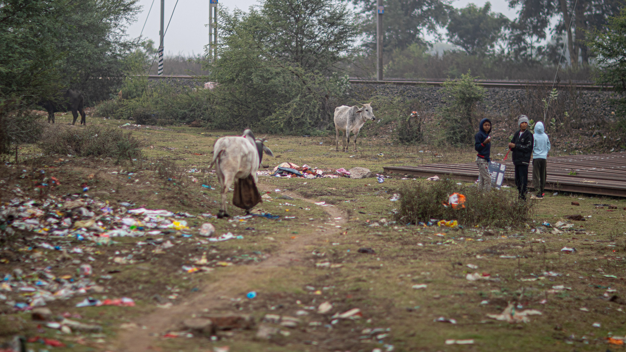 20240107103802 RD4 9265