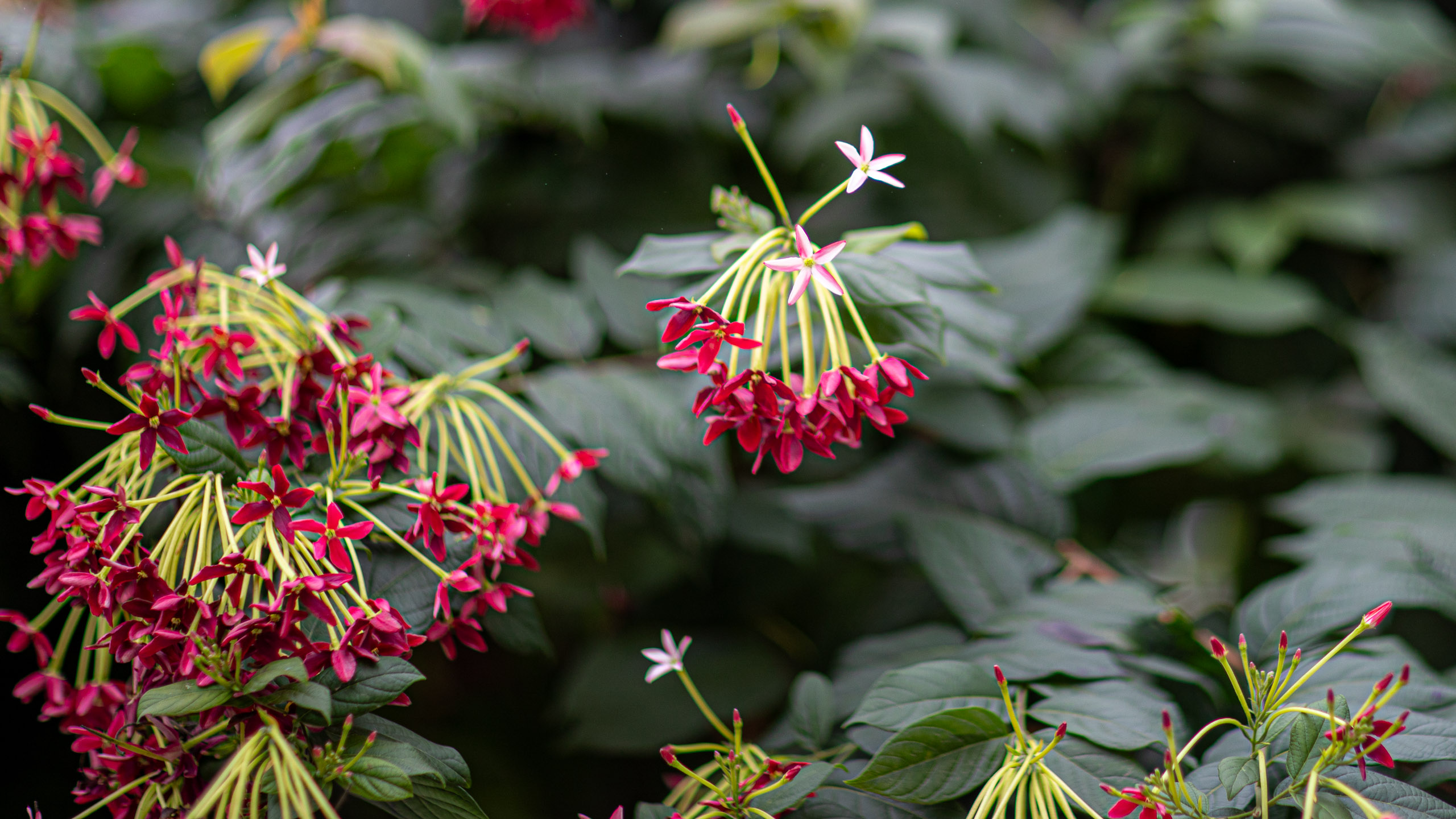 20240107104307 RD4 9275