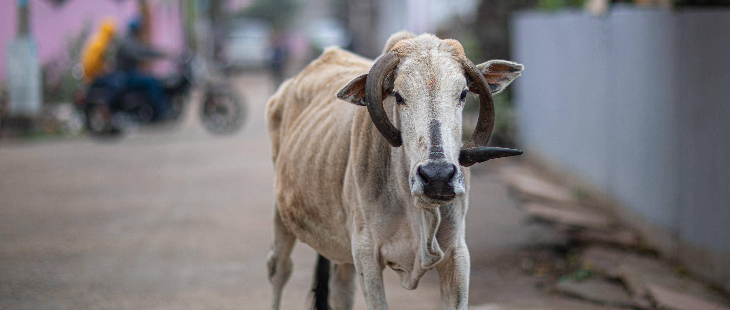 20240107112114 RD4 9317