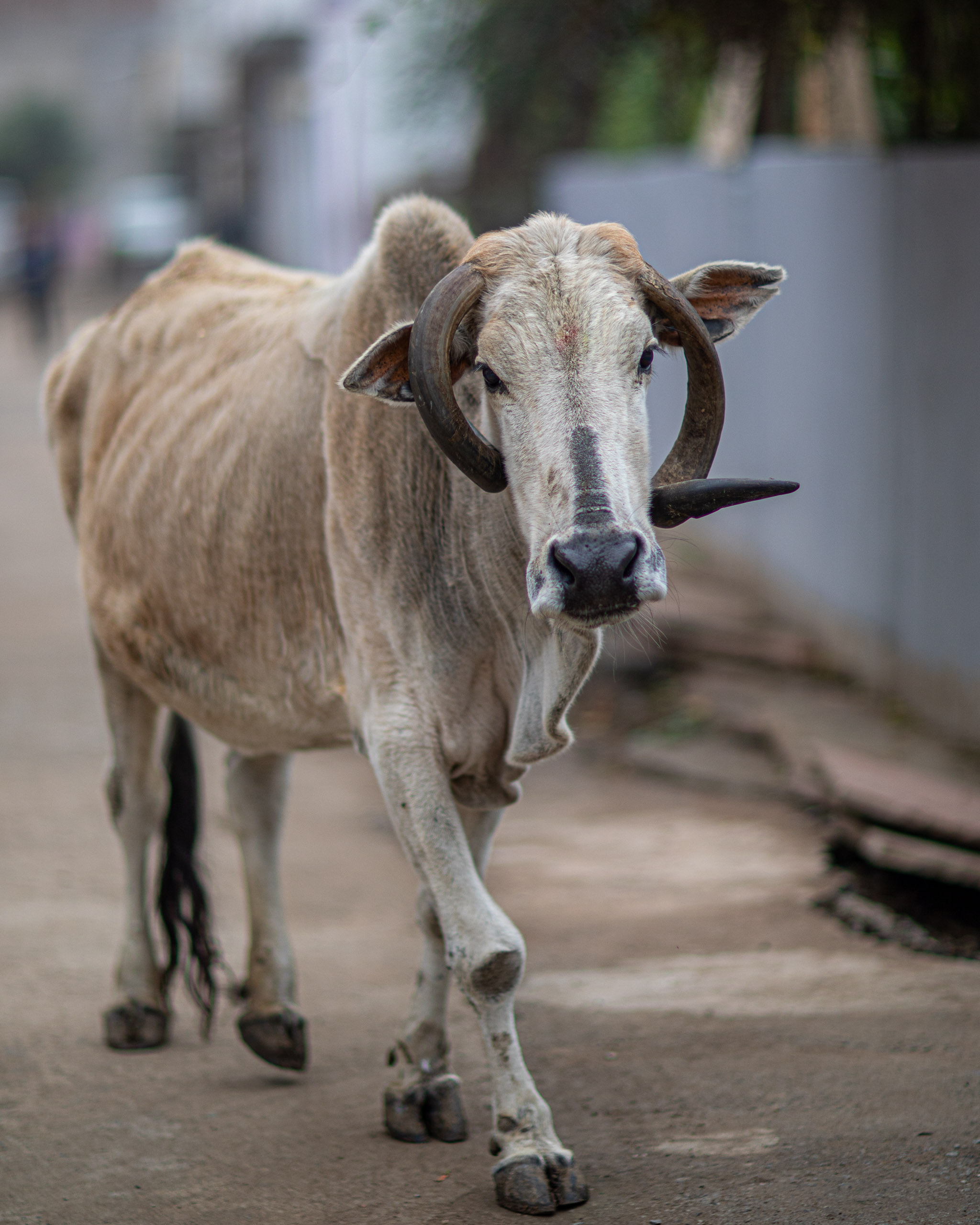 20240107112116 RD4 9319