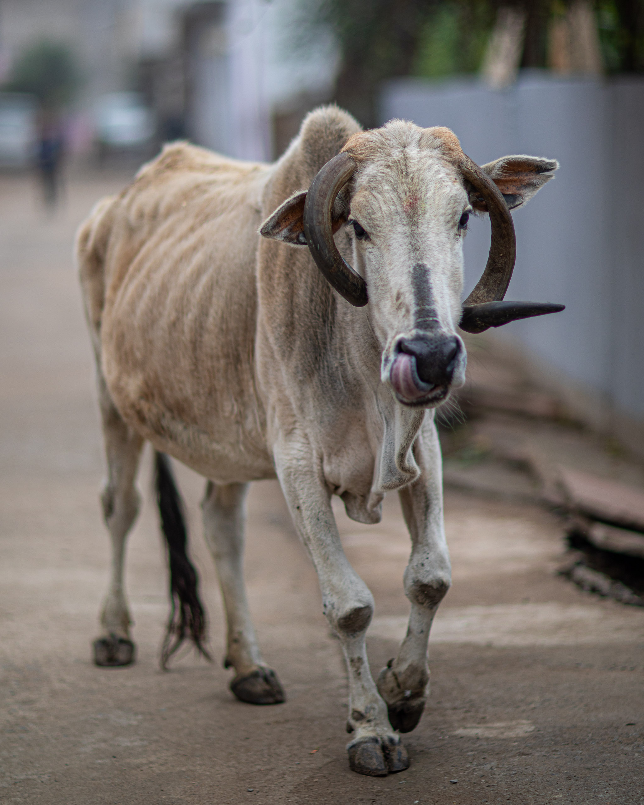 20240107112117 RD4 9320