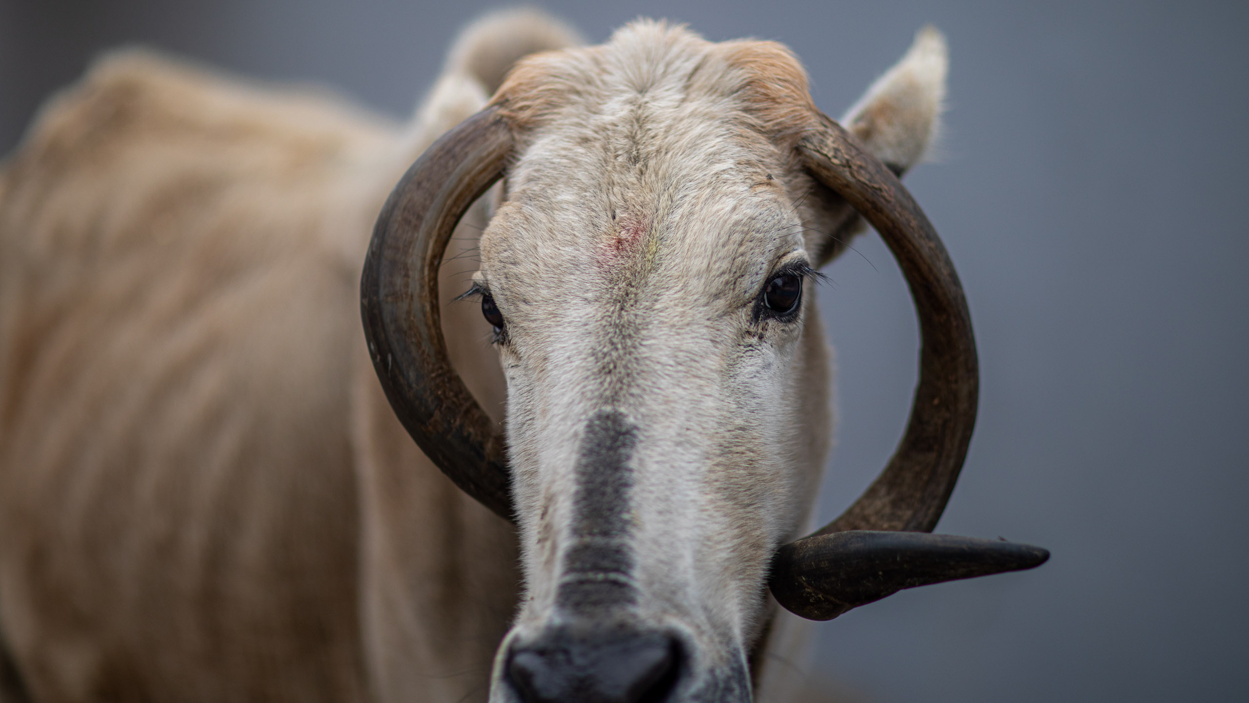 20240107112122 RD4 9324