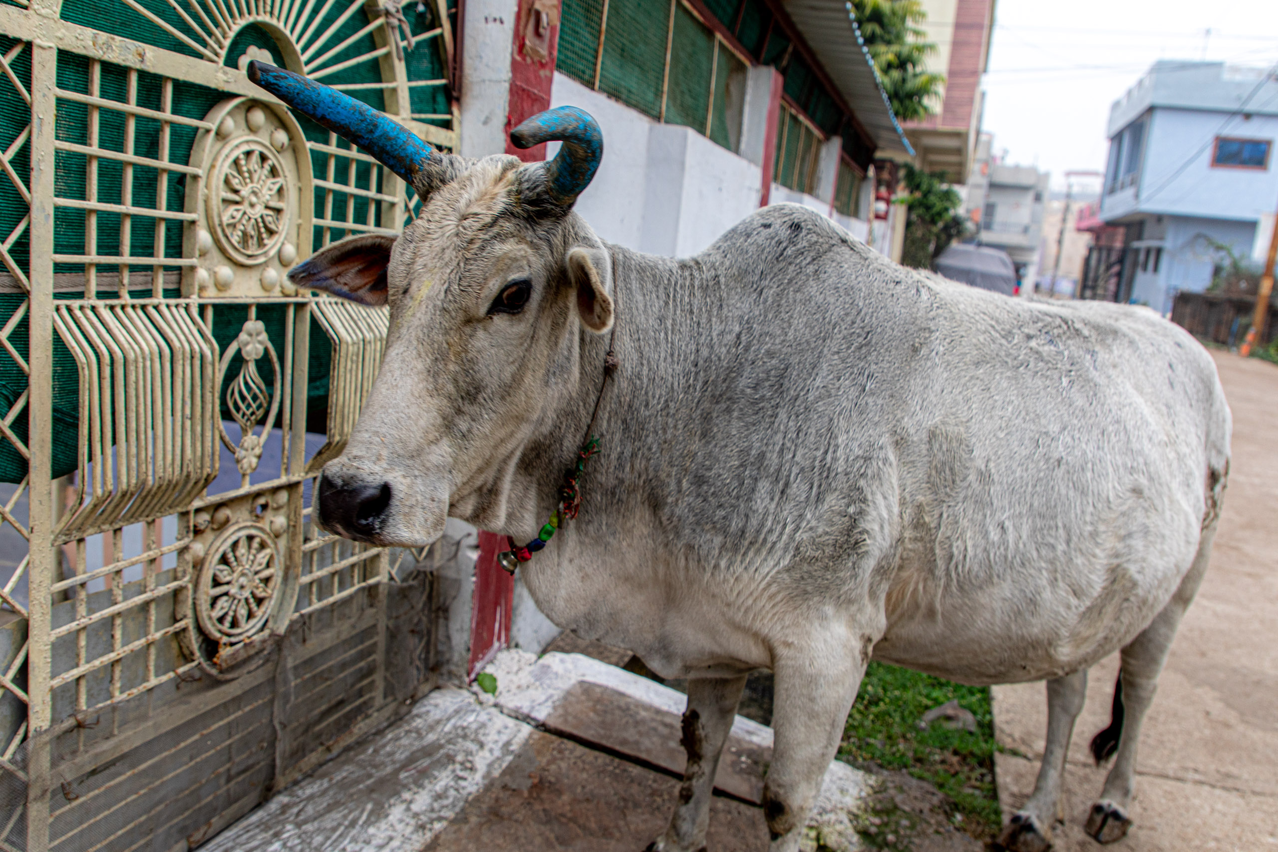 20240108101506 RD4 9398