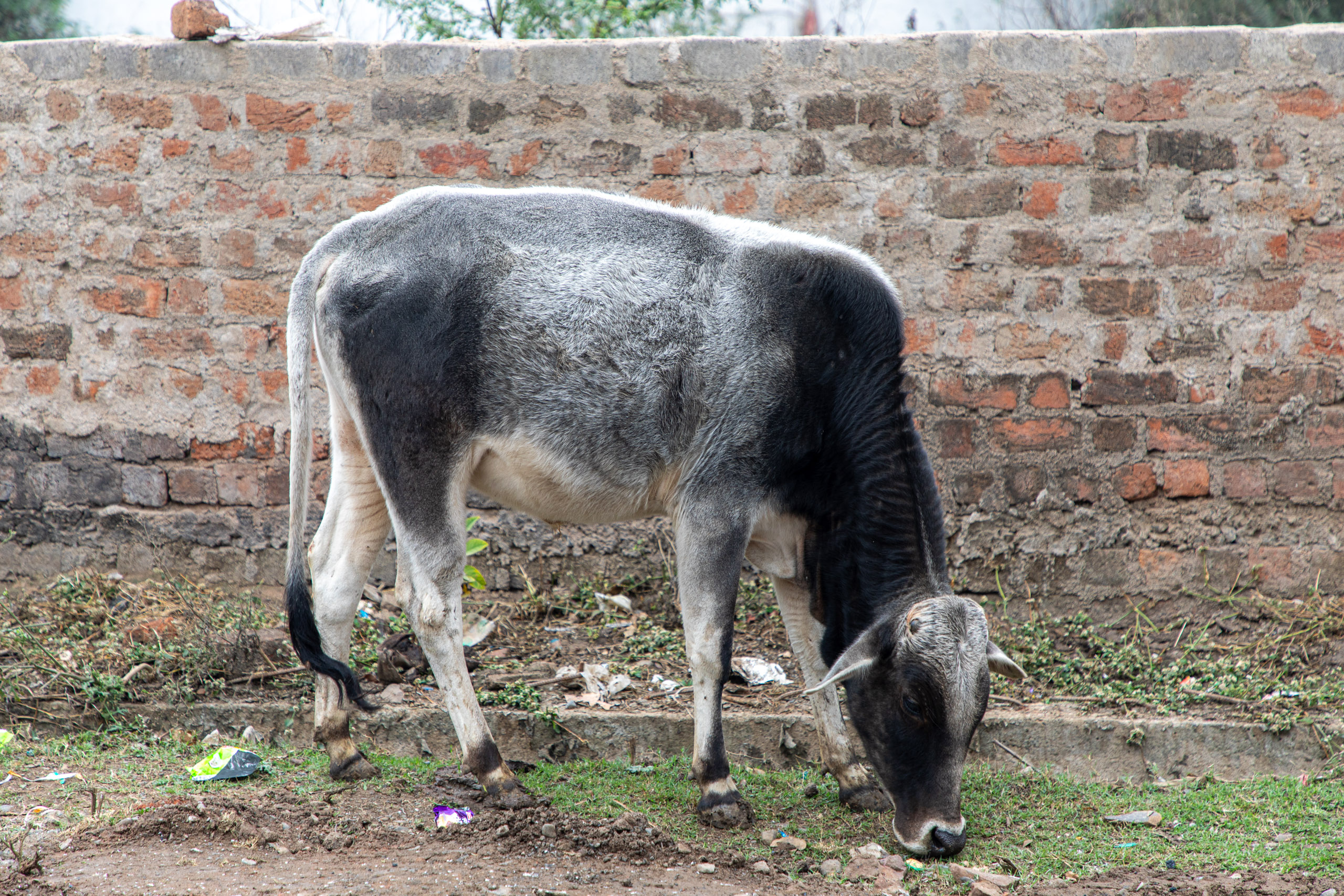 20240108102505 RD4 9416